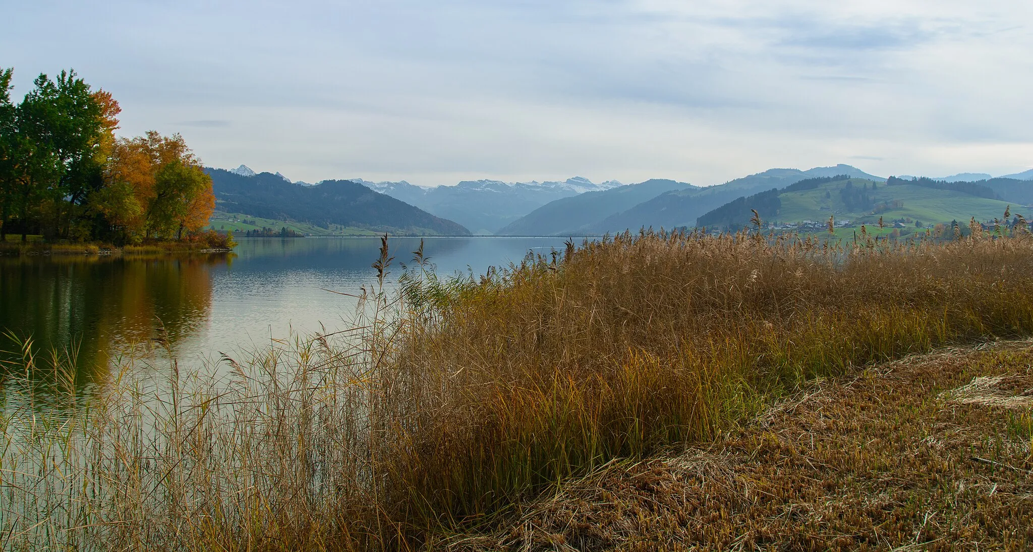 Photo showing: Autumn by the Sihlsee