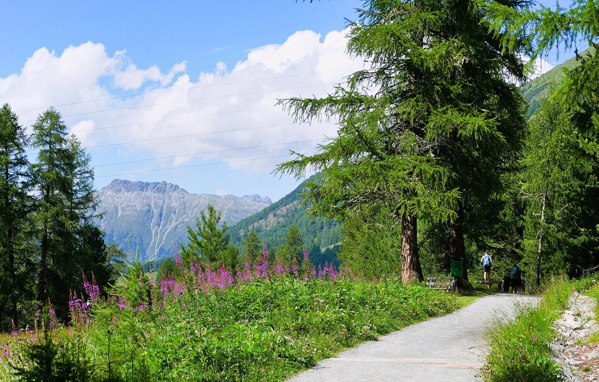 Photo showing: Trail on Val Roseg. Pontresina, Switzerland.