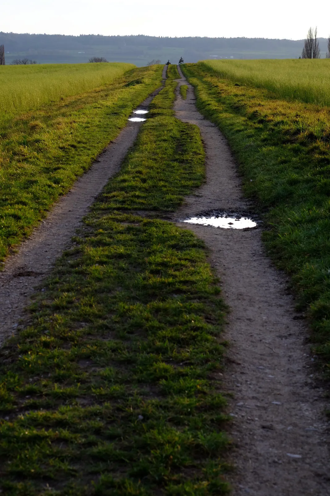 Photo showing: 500px provided description: Blogpost: www.jenseitsderfenster.de/2015/12/12/immer-noch-kein-schnee/ [#Winter ,#Fields ,#Konstanz ,#Feld ,#Weg]