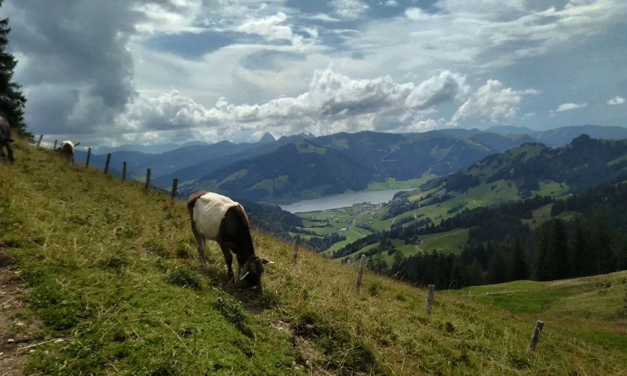 Photo showing: Sihlsee and Eutal from Chli Aubrig.