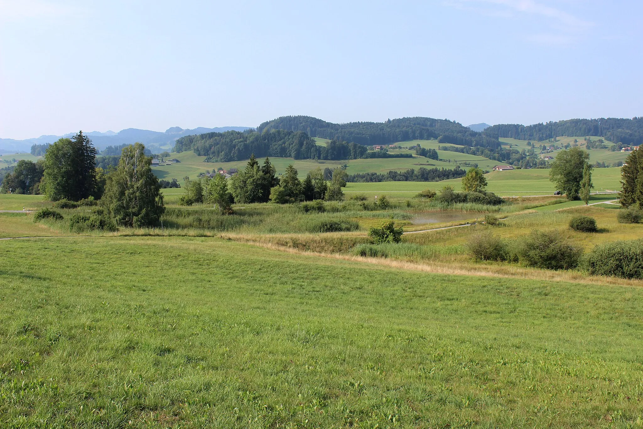 Photo showing: Naturschutzgebiet Turpenriet bei Kirchberg SG, Schweiz