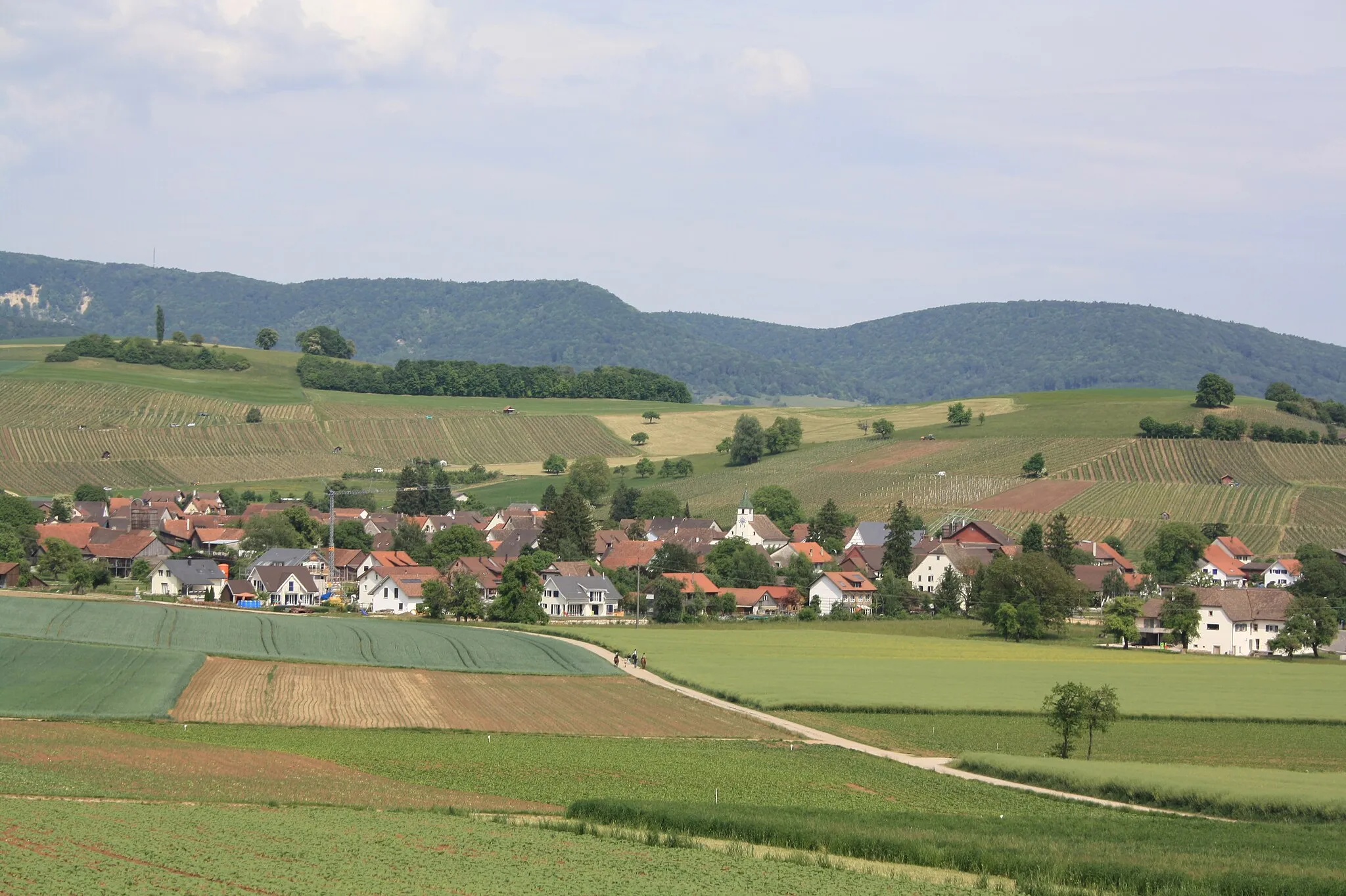 Photo showing: Blick von Hallau auf Oberhallau