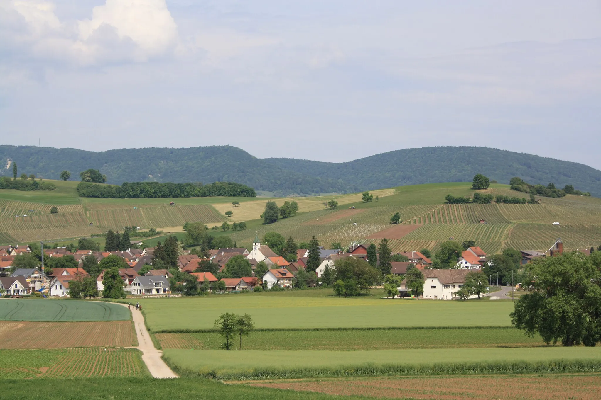Photo showing: Blick von Hallau auf Oberhallau