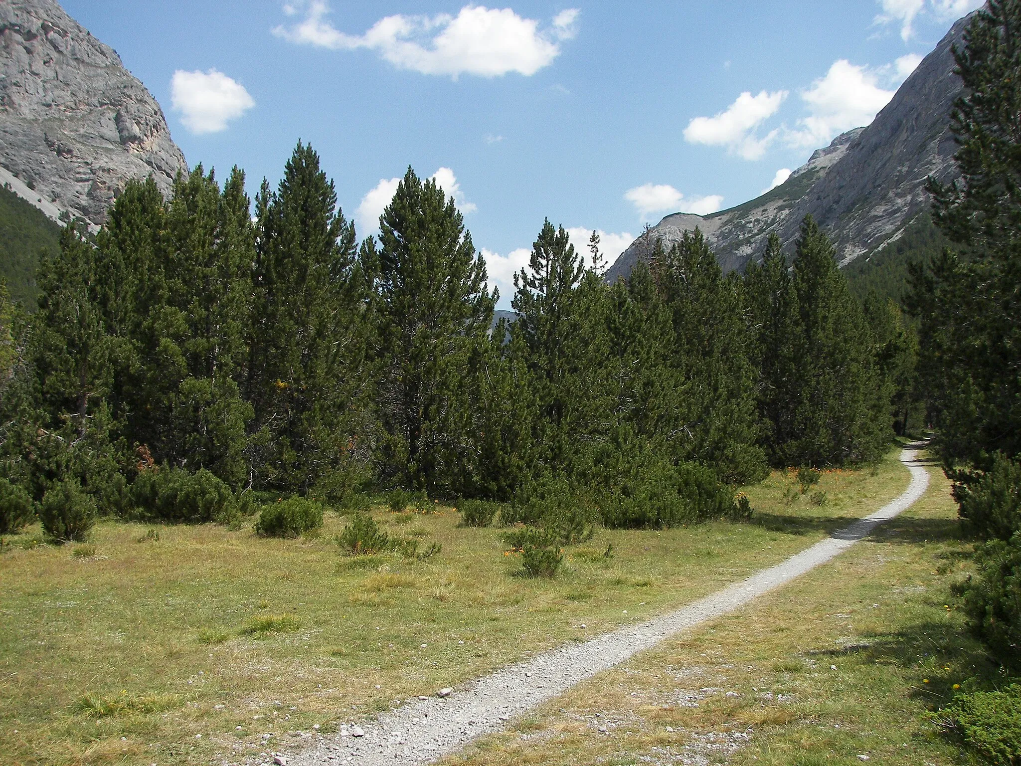 Photo showing: Passo di Val Mora (1930m), between Italy and Switzerland
