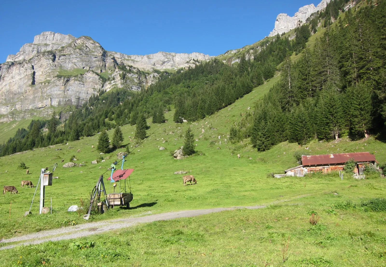 Photo showing: Private Cable Car to Mountain Ridge