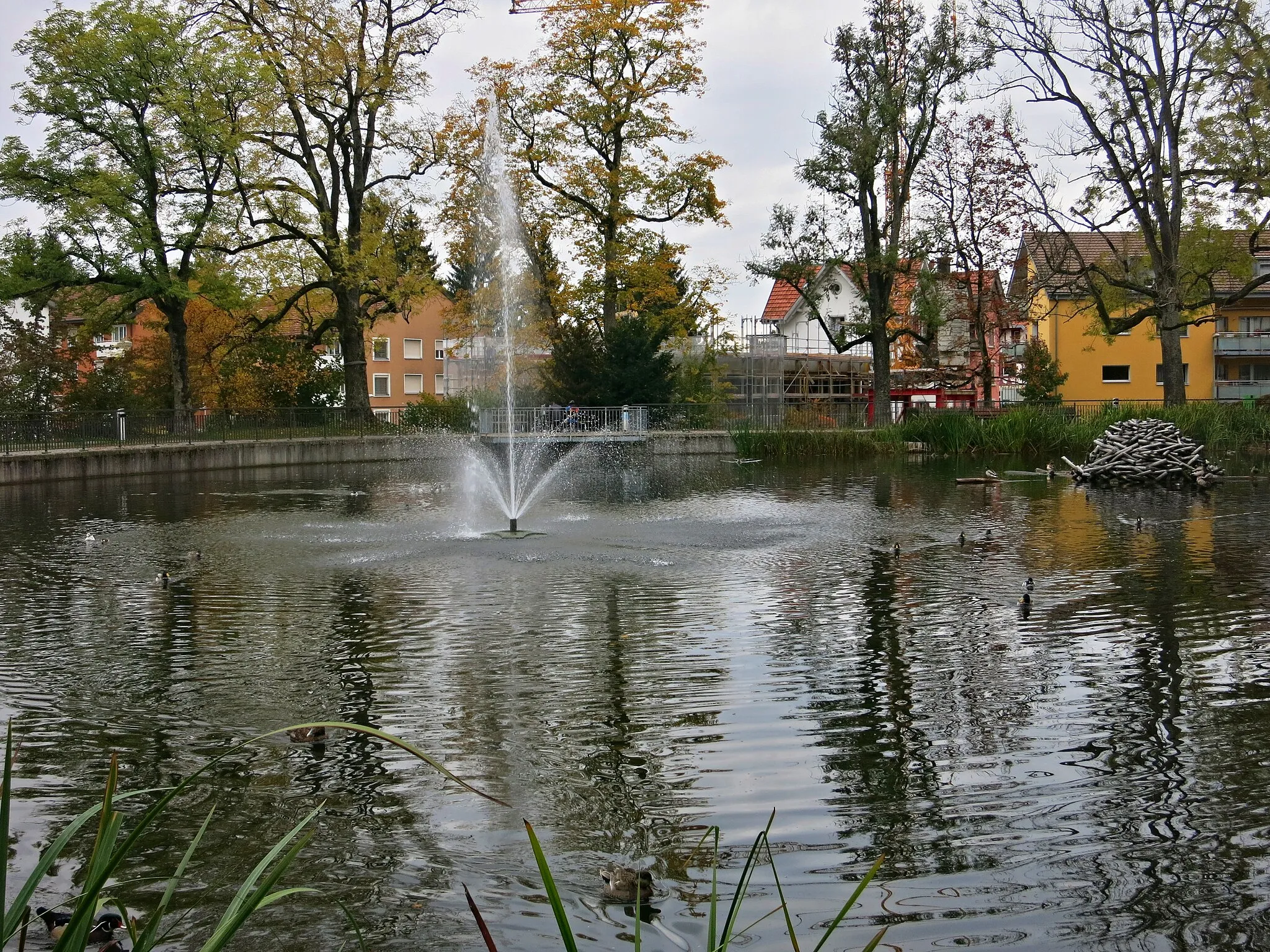 Photo showing: Nestweier in Riethüsli