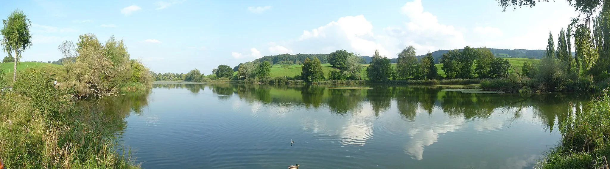 Photo showing: Panorama picture of the Bettenauer Weiher near Oberuzwil, SG, Switzerland. Stitched out of 4 single photos.