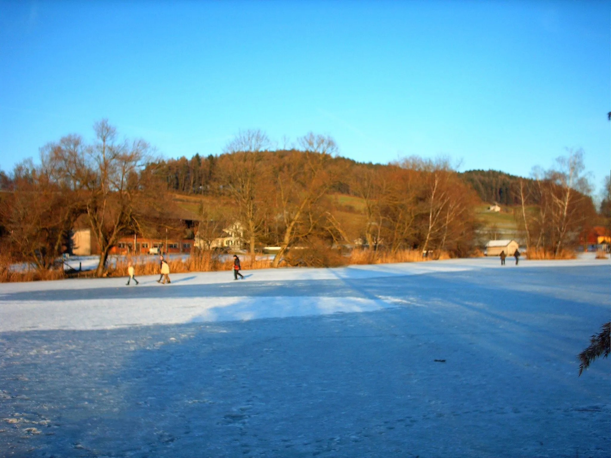 Photo showing: View from an island in the middle of frozen lake "Bettenauer Weiher" direction NE