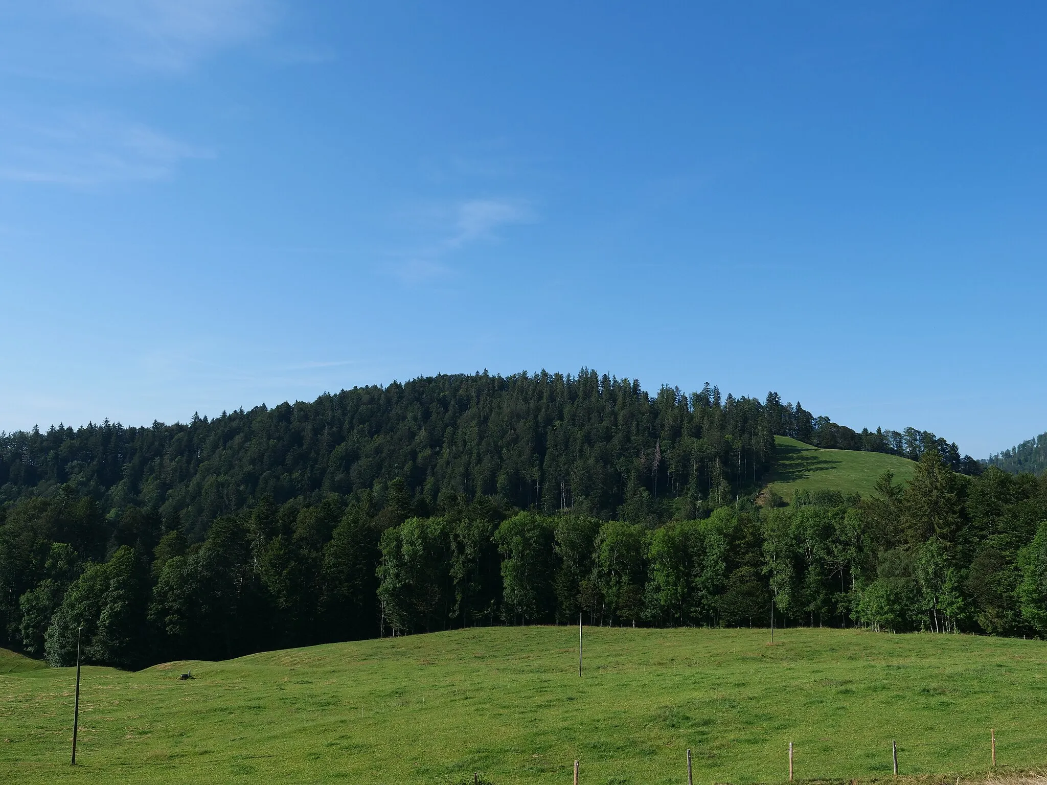 Photo showing: Der Tössstock von der Boalp aus betrachtet.