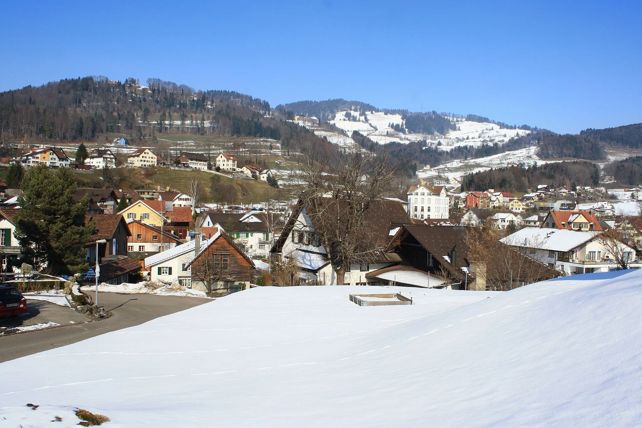 Photo showing: Laupen in Wald (Switzerland) as seen from nearby Bärenhölzli