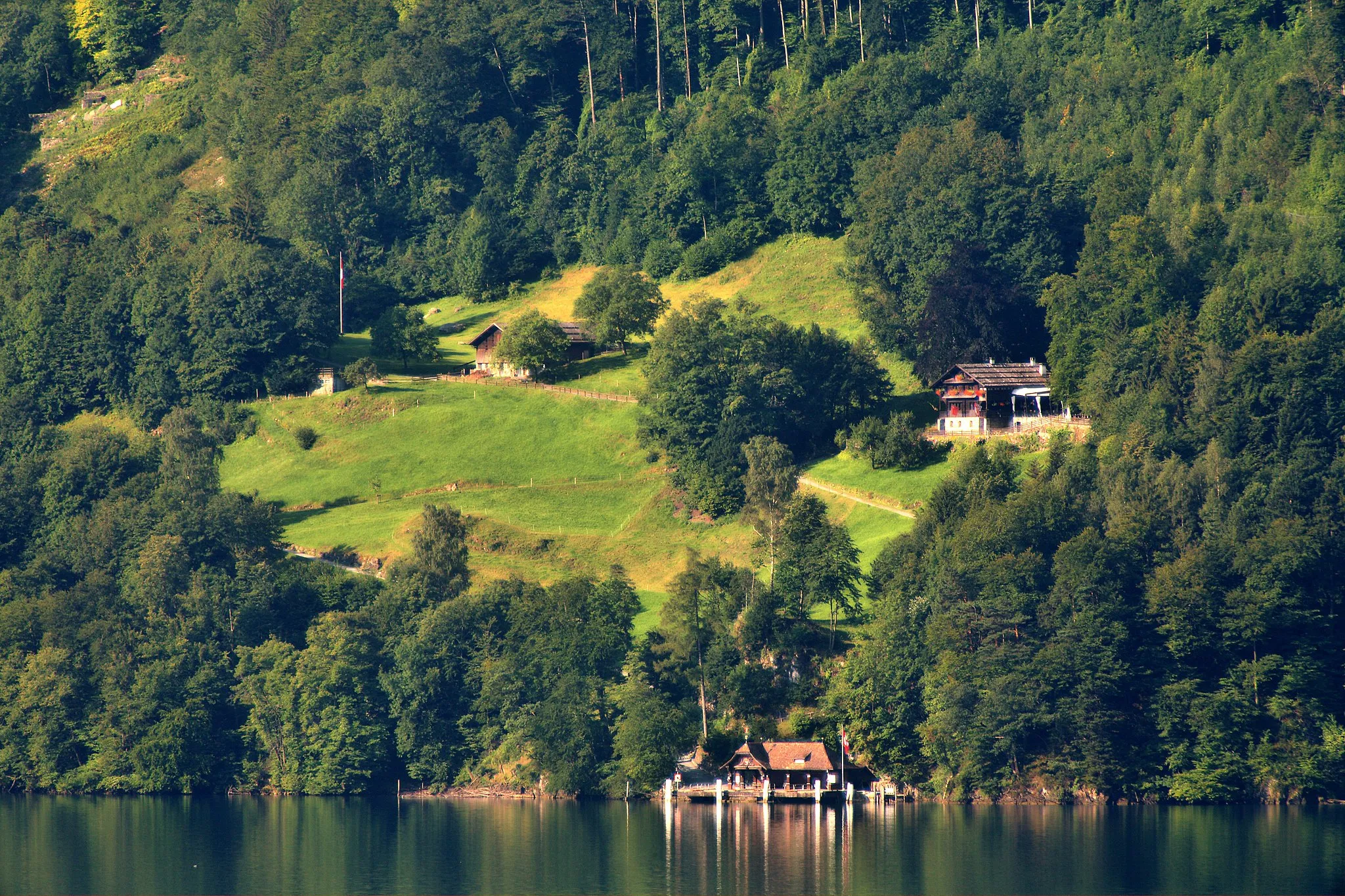 Photo showing: Rütli meadow seen from Brunnen