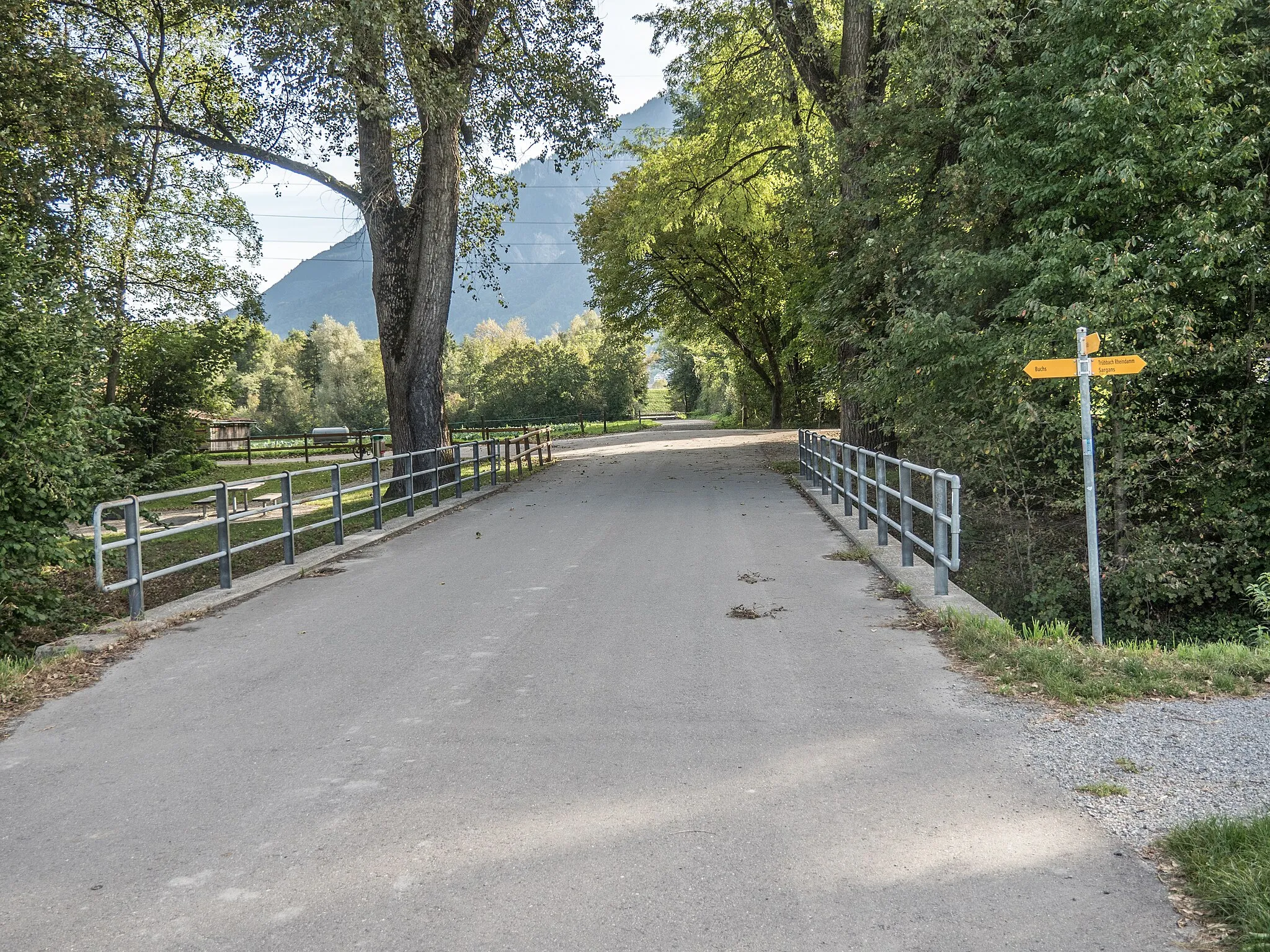 Photo showing: Fieldroad Bridge over the Werdenberger Binnenkanal, Buchs, Canton of St. Gallen, Switzerland