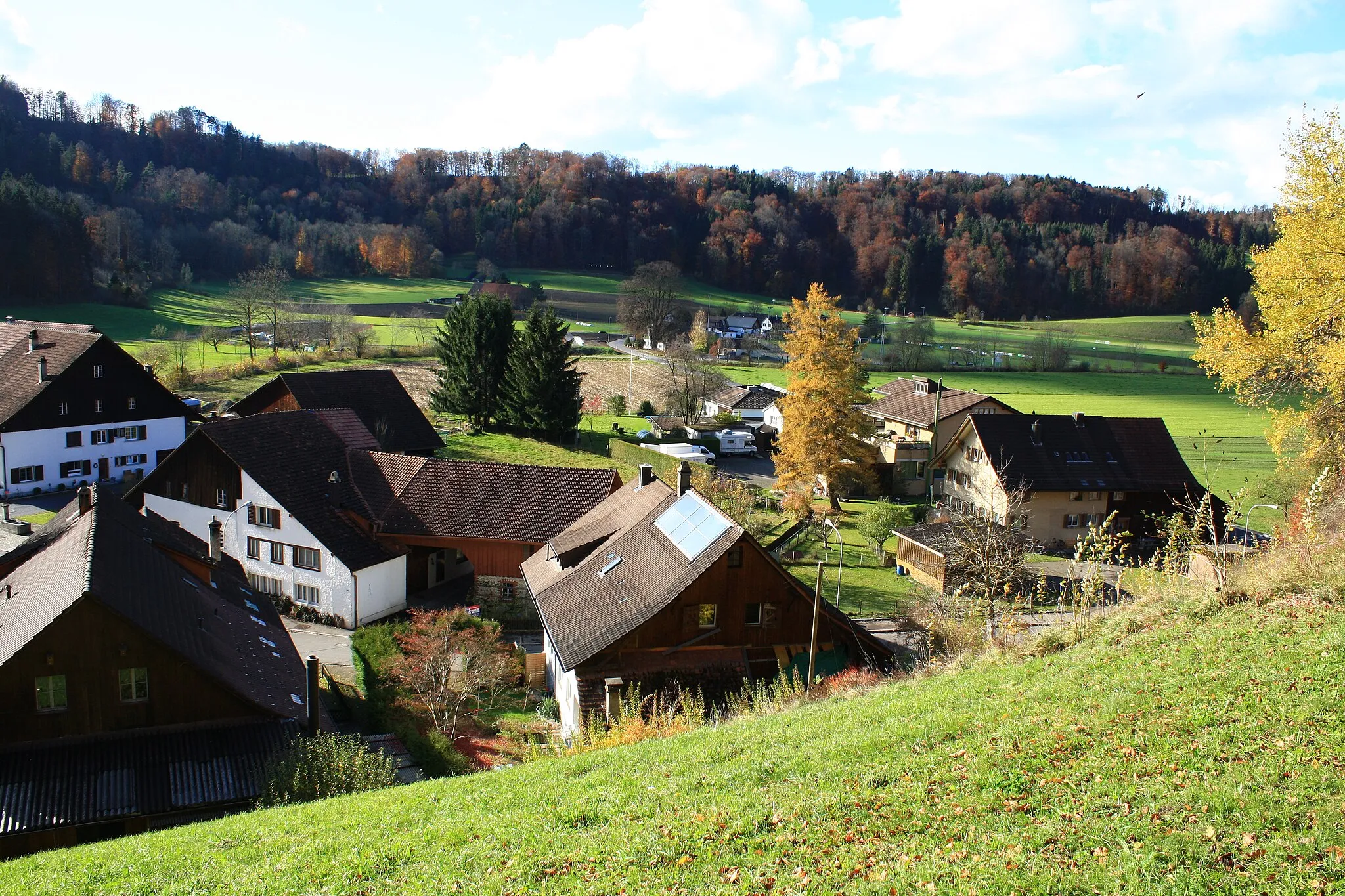 Photo showing: Rikon in the Töss Valley (Tösstal) in Switzerland