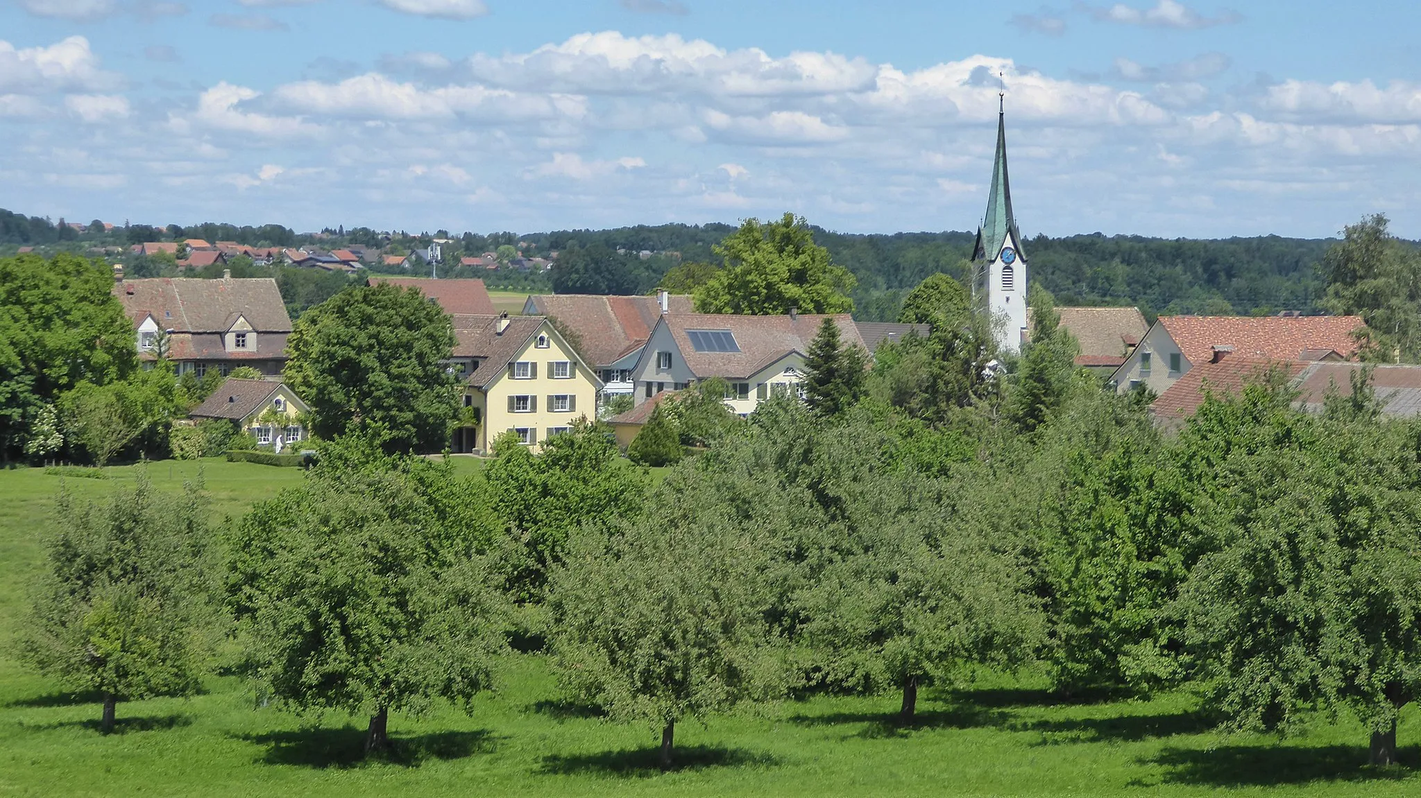 Photo showing: Erlen von Südwesten