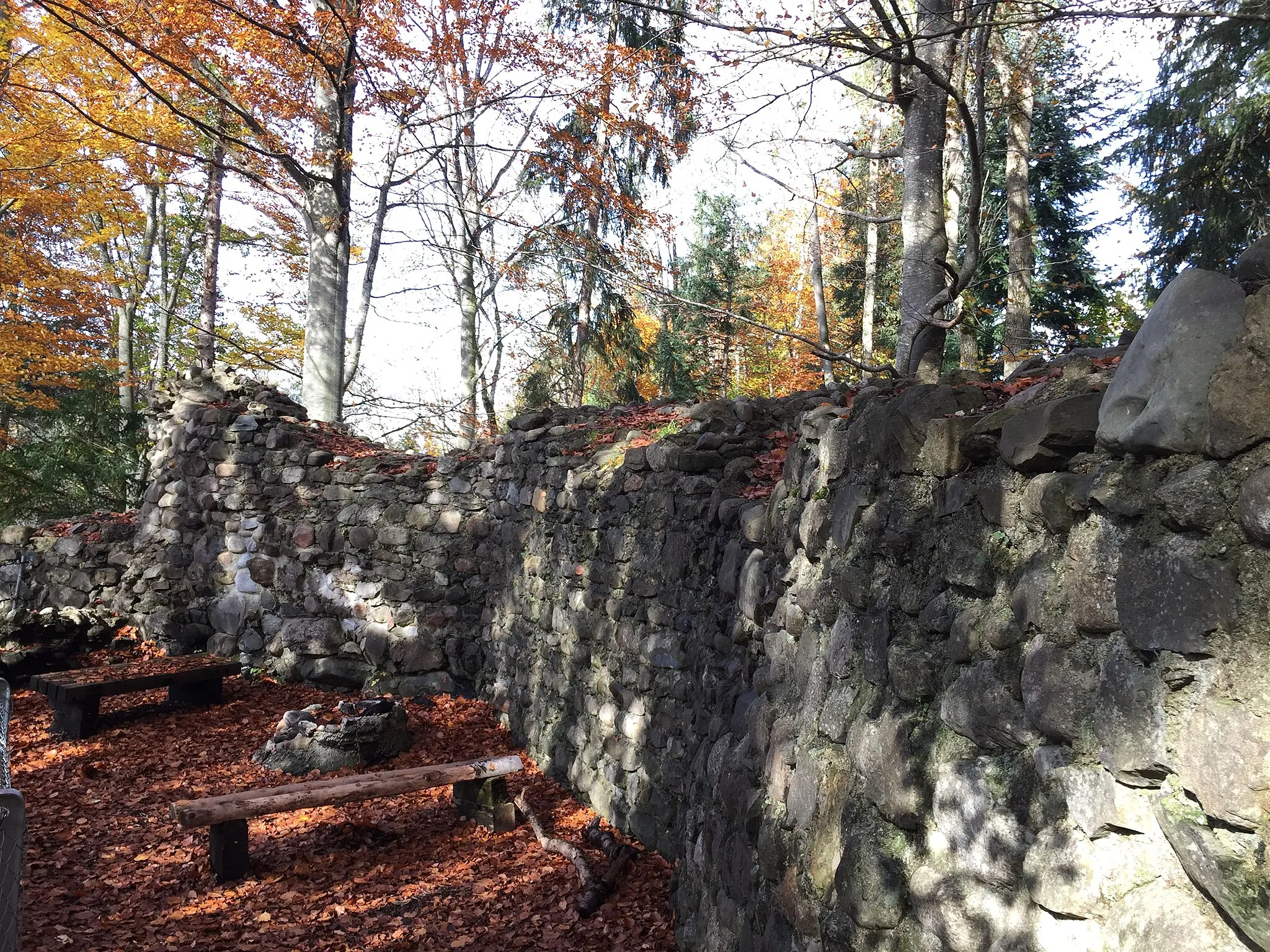 Photo showing: Burgruine Helfenberg SG bei Gossau, restaurierte Burgstelle