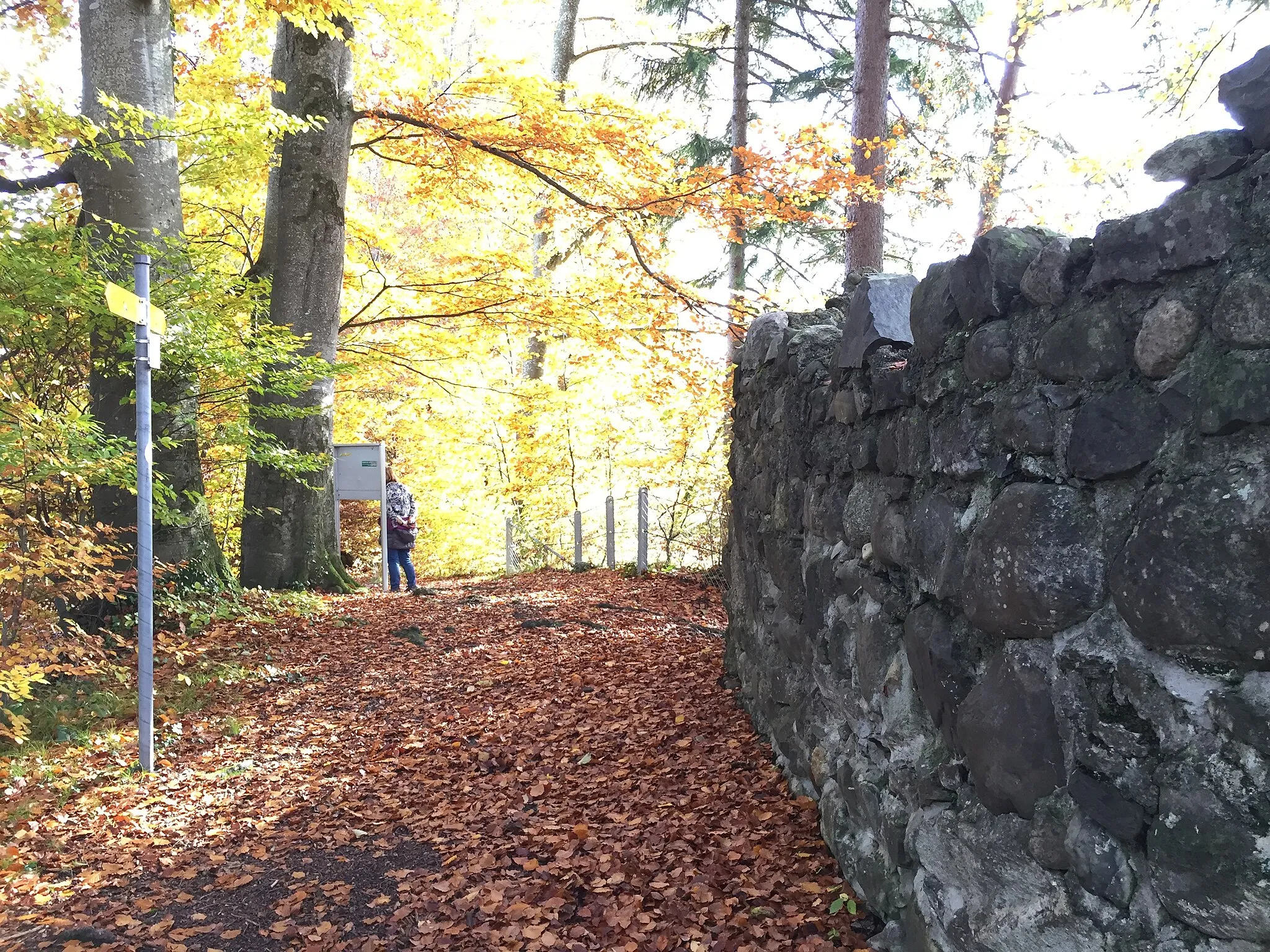 Photo showing: Die restaurierten Mauern der Burgruine von Helfenberg SG bei Gossau sind ein beliebtes Wanderziel unweit der Kolumbanshöhle