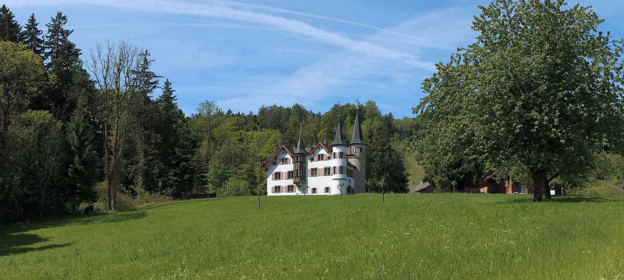 Photo showing: A castle is looking for a new owner, and has been for 30 years. It is uninhabited since the early 1990s. But there is a caretaker who lives nearby, and on behalf of a real estate company from Liechtenstein ensures that it does not fall apart. Somewhat hidden on a plateau above a ravine and a brook, it hardly finds attention. From the road and the railroad it is only briefly visible, if you know where it is. The historical data are partly contradictory. The sales price was once at CHF 5 million. Today it is rumored that it could be had for a good CHF 4 million. The building is classified as worthy of protection under the number 0.14.1. The history is quite complicated with many owners and conversions.