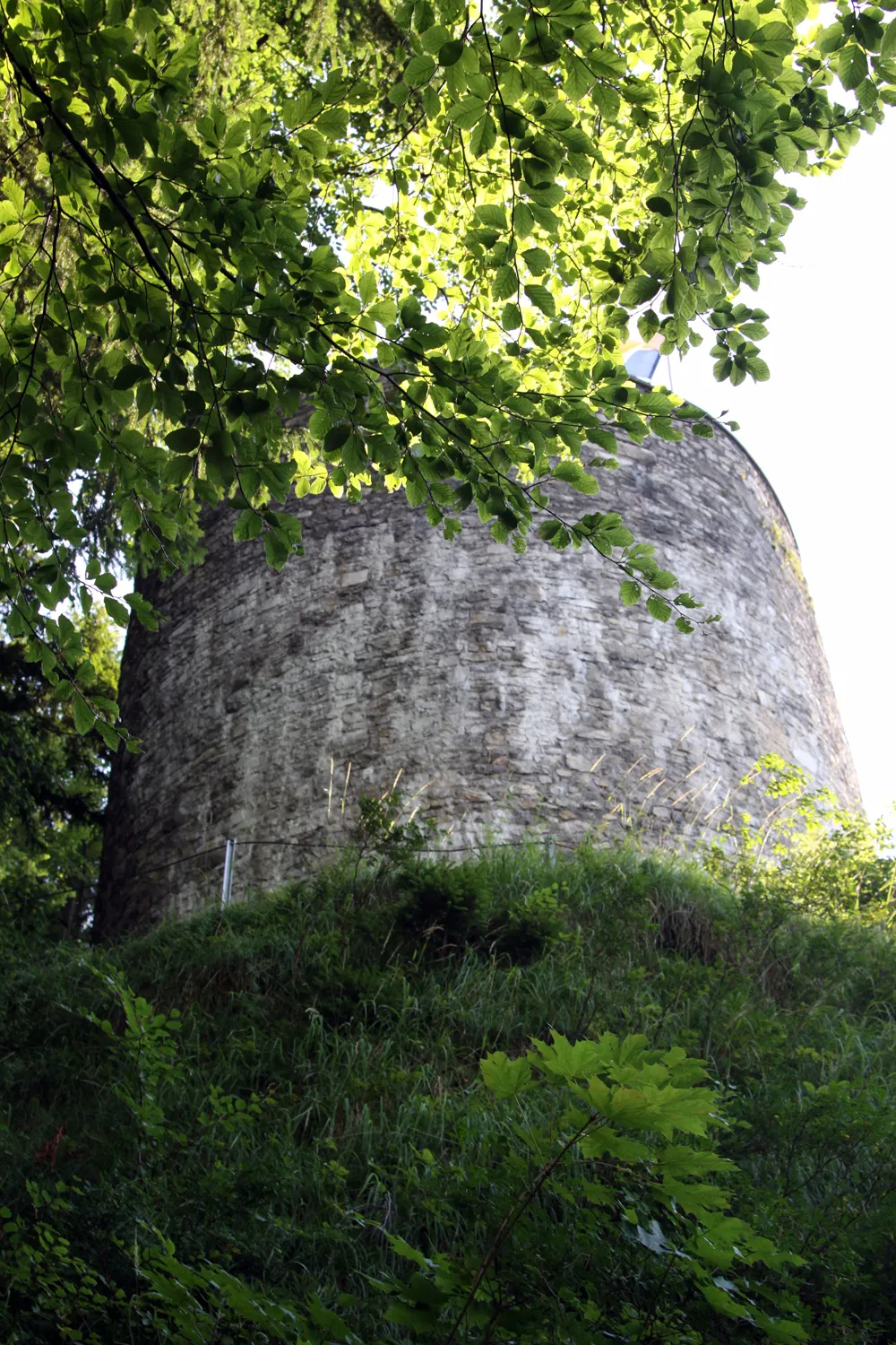 Photo showing: Barbakane der Ruine Alt-Ems.