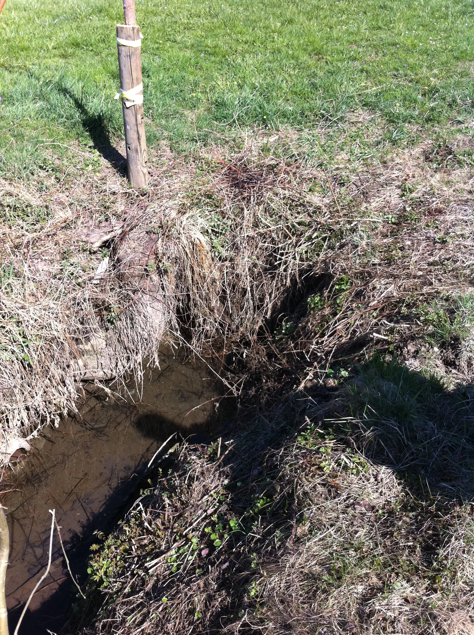 Photo showing: Quelle des Hegibaches