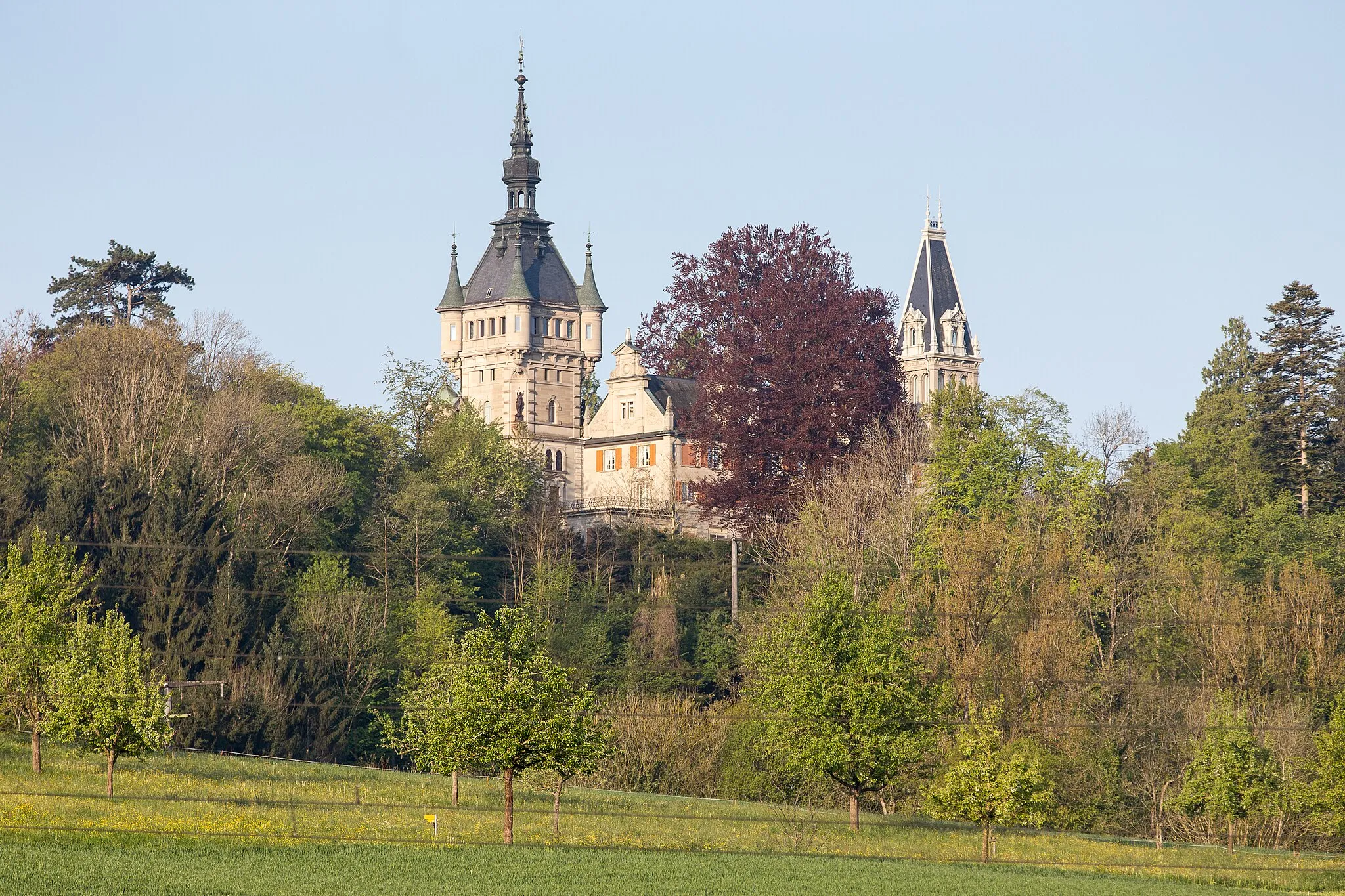 Photo showing: Castell Tägerwilen