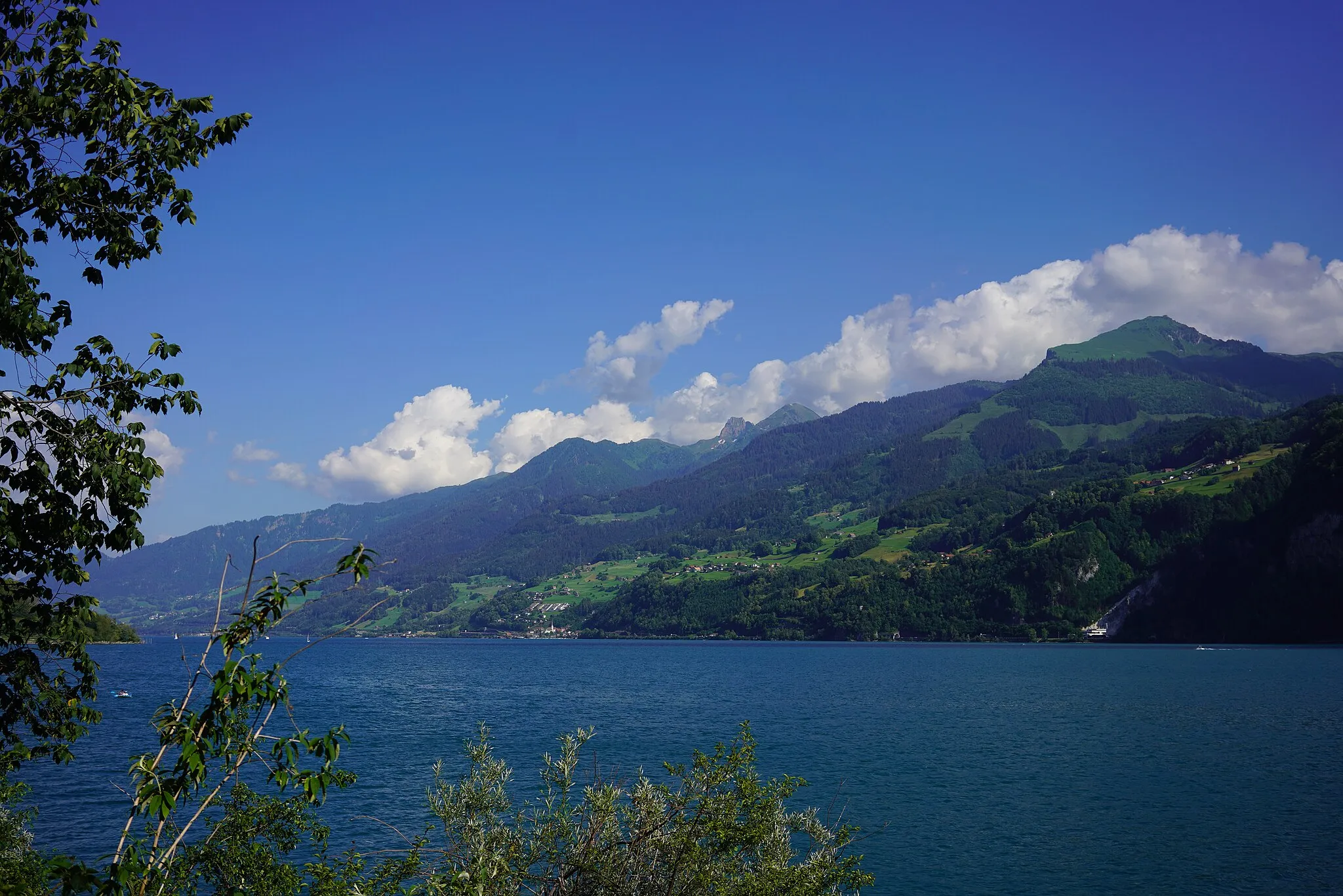 Photo showing: 20180619_Walensee_5748