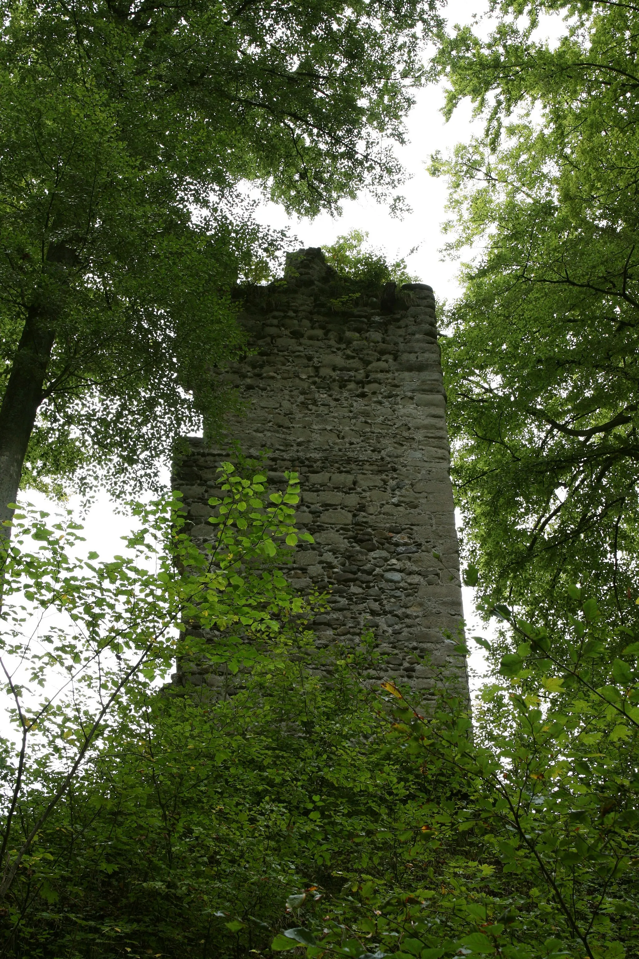 Photo showing: Ruine Kargegg in Allensbach