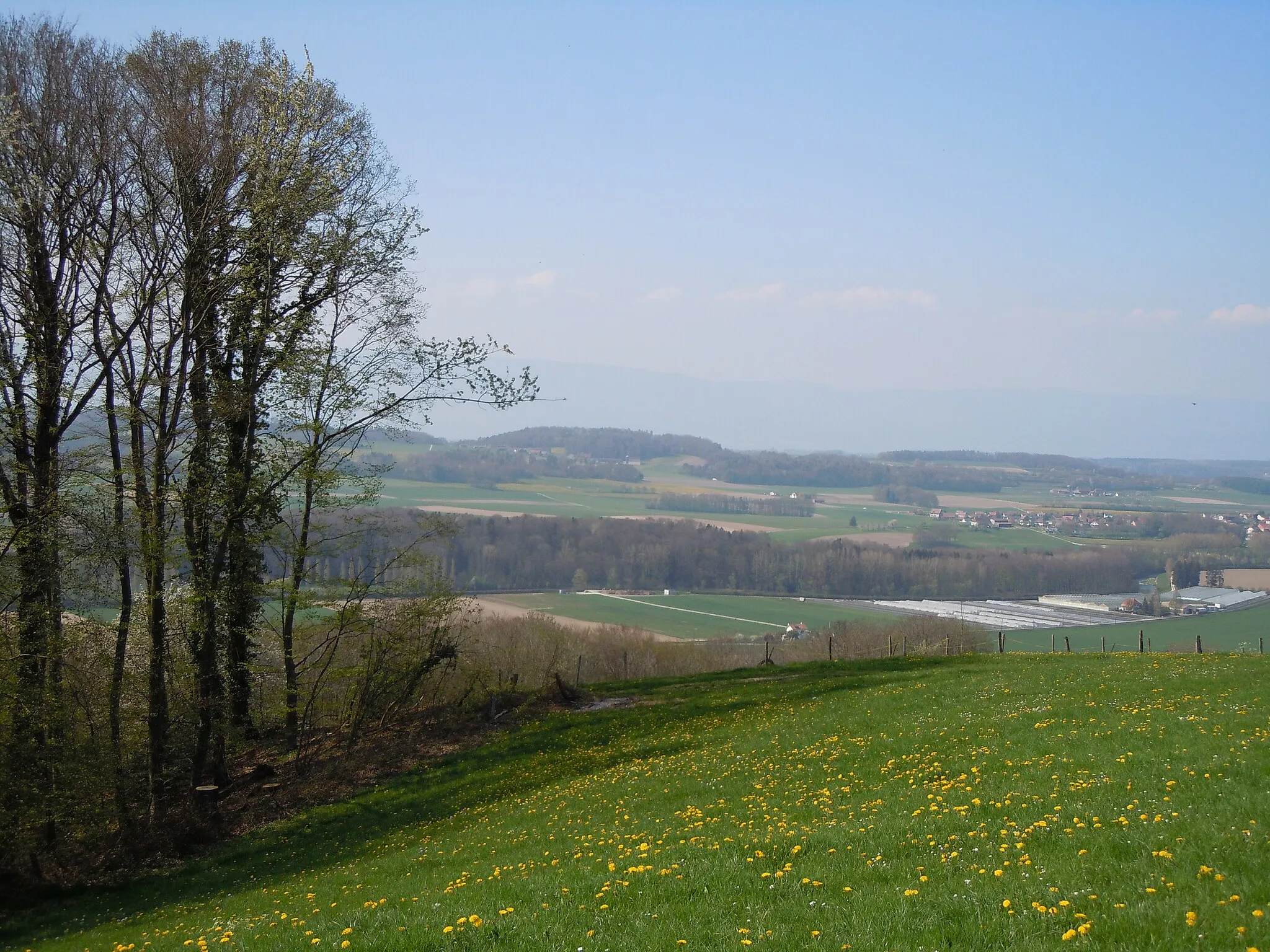 Photo showing: Vue sur la vallée de la Broye