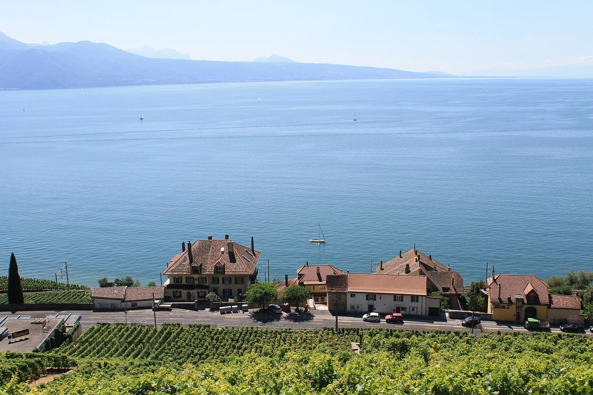 Photo showing: Terrasses de Lavaux