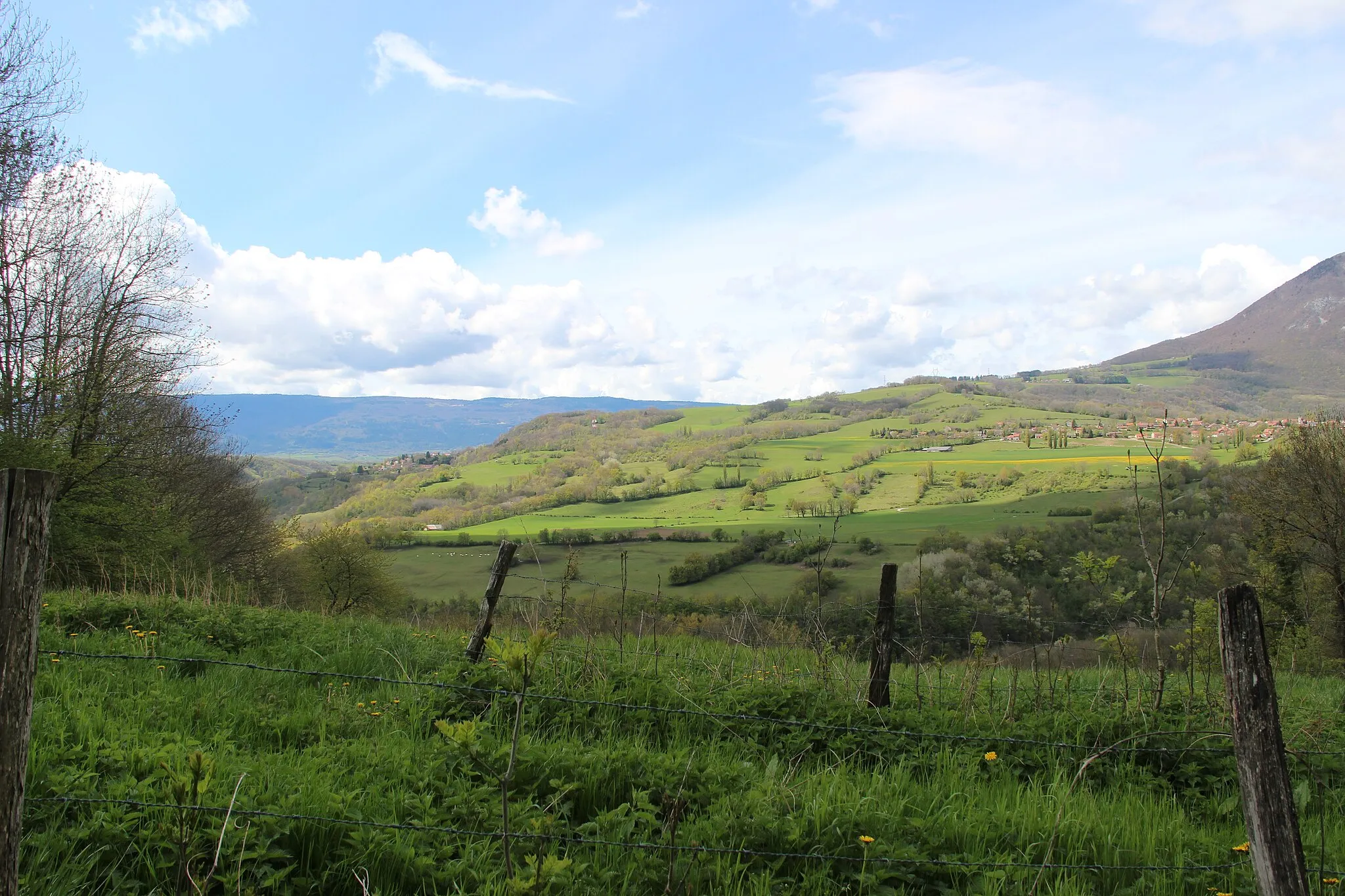 Photo showing: Scenic view near Arcine