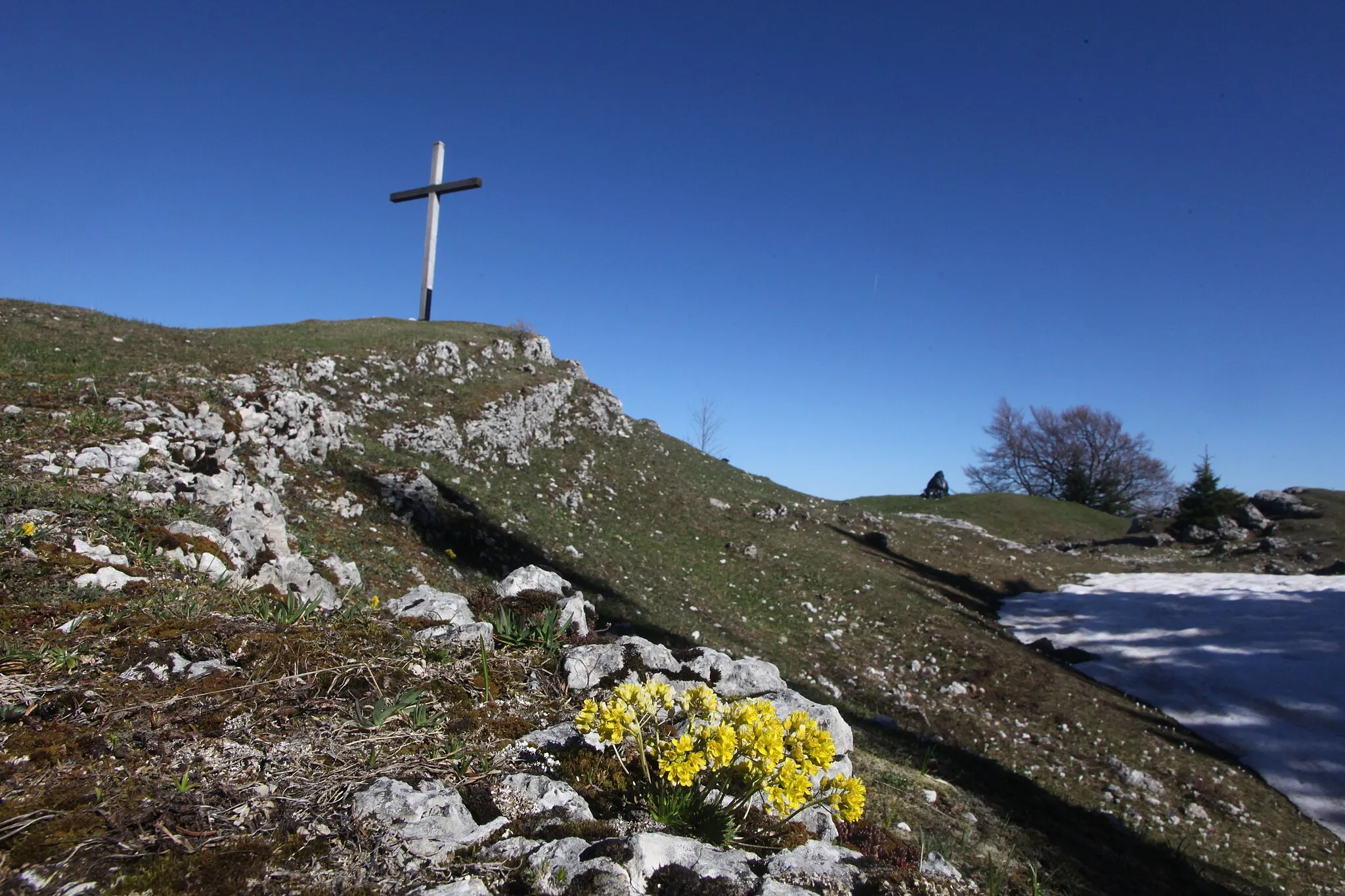 Photo showing: Drave des rochers au Crêt de la Neuve.