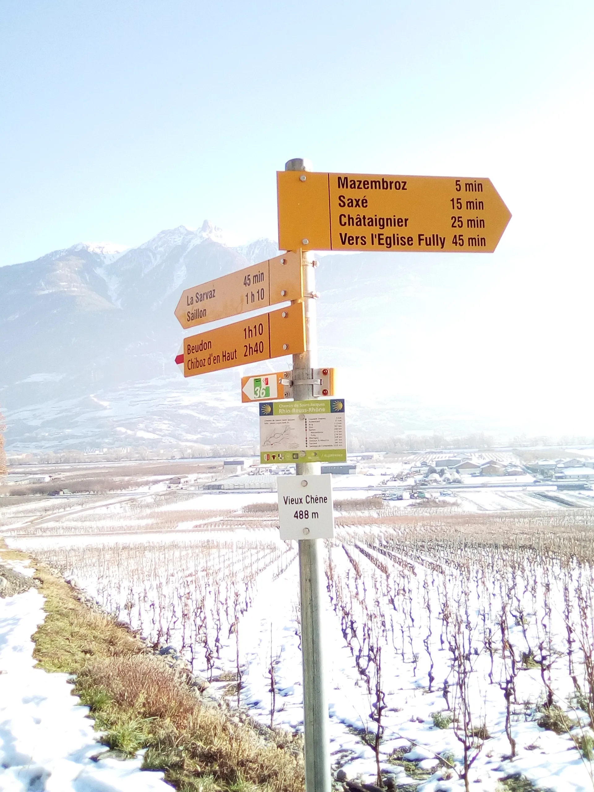 Photo showing: Chemin pédestre - Poteau indicateur - Vieux Chêne