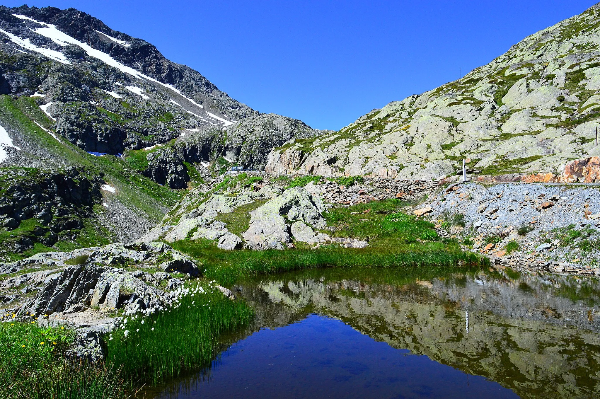 Photo showing: Grosser Sankt Bernhard Pass Sommer Wallis Wollgras