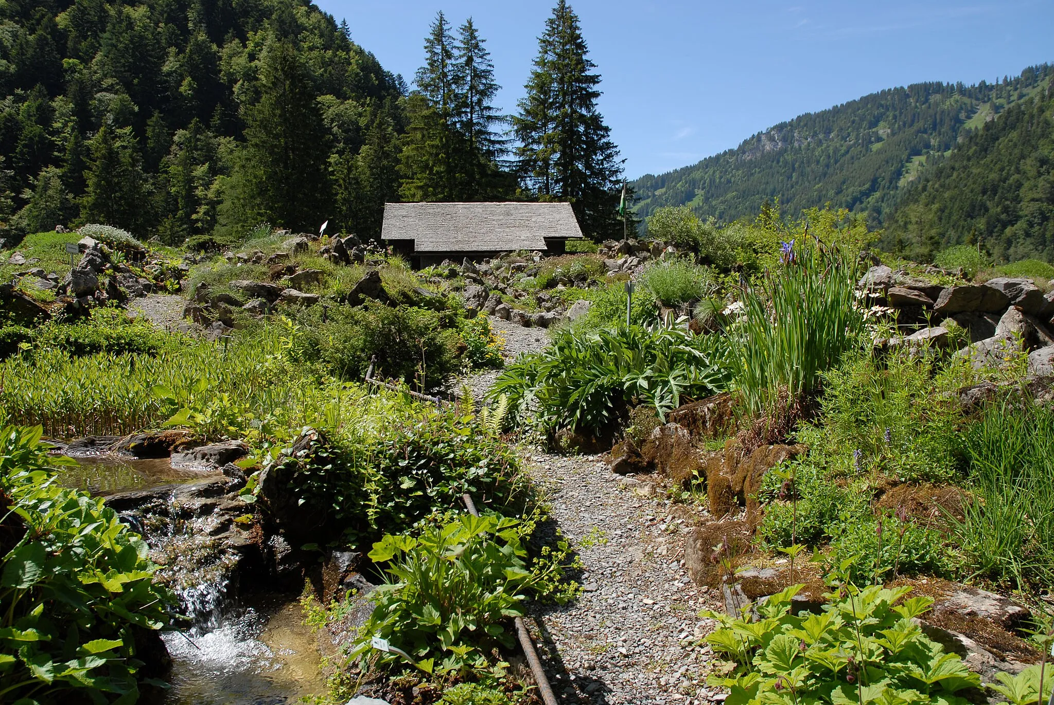 Photo showing: View of the alpine garden, La Thomasia, near Bex, Switerland, which forms part of the Musée et jardins botaniques cantonaux, Canton of Vaud.