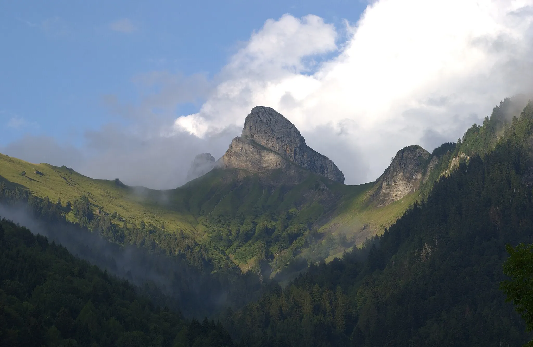 Photo showing: Vue du Lion d'Argentine des Plans-sur-Bex, Vaud, Suisse. (District franc fédéral du Muveran