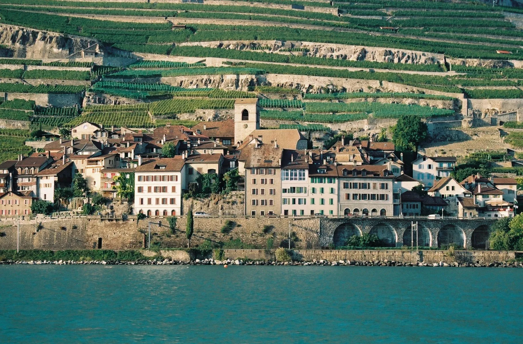 Photo showing: Saint-Saphorin upon lake Geneva