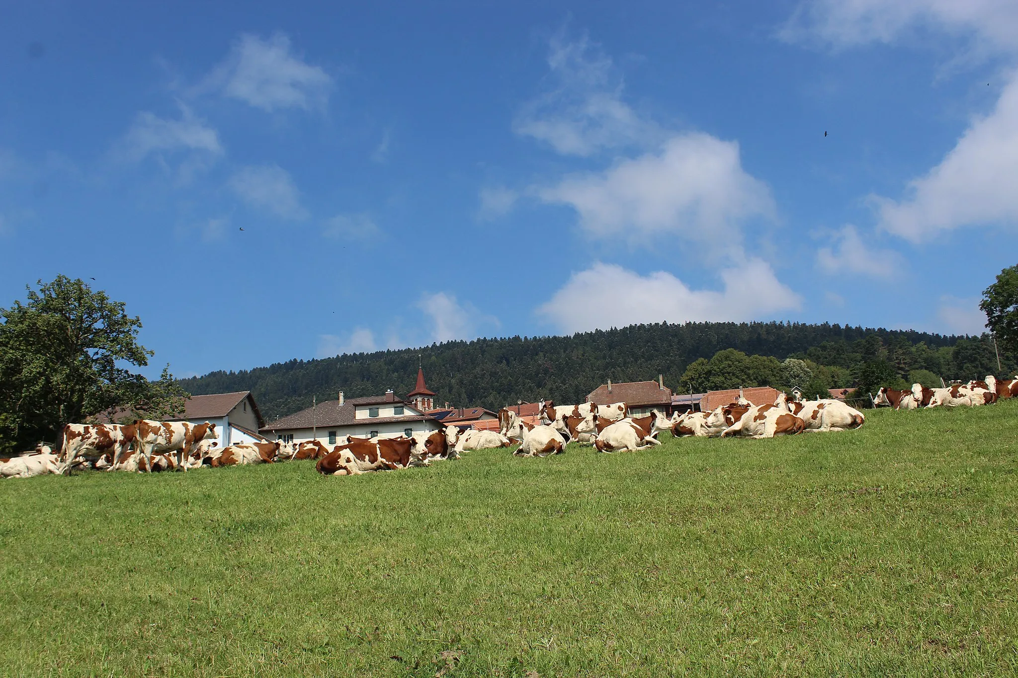 Photo showing: Panorama du village.