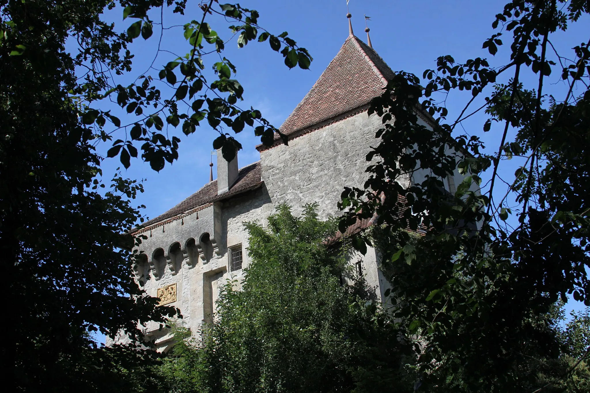 Photo showing: Bailiff's Castle, Le Château 1, Surpierre