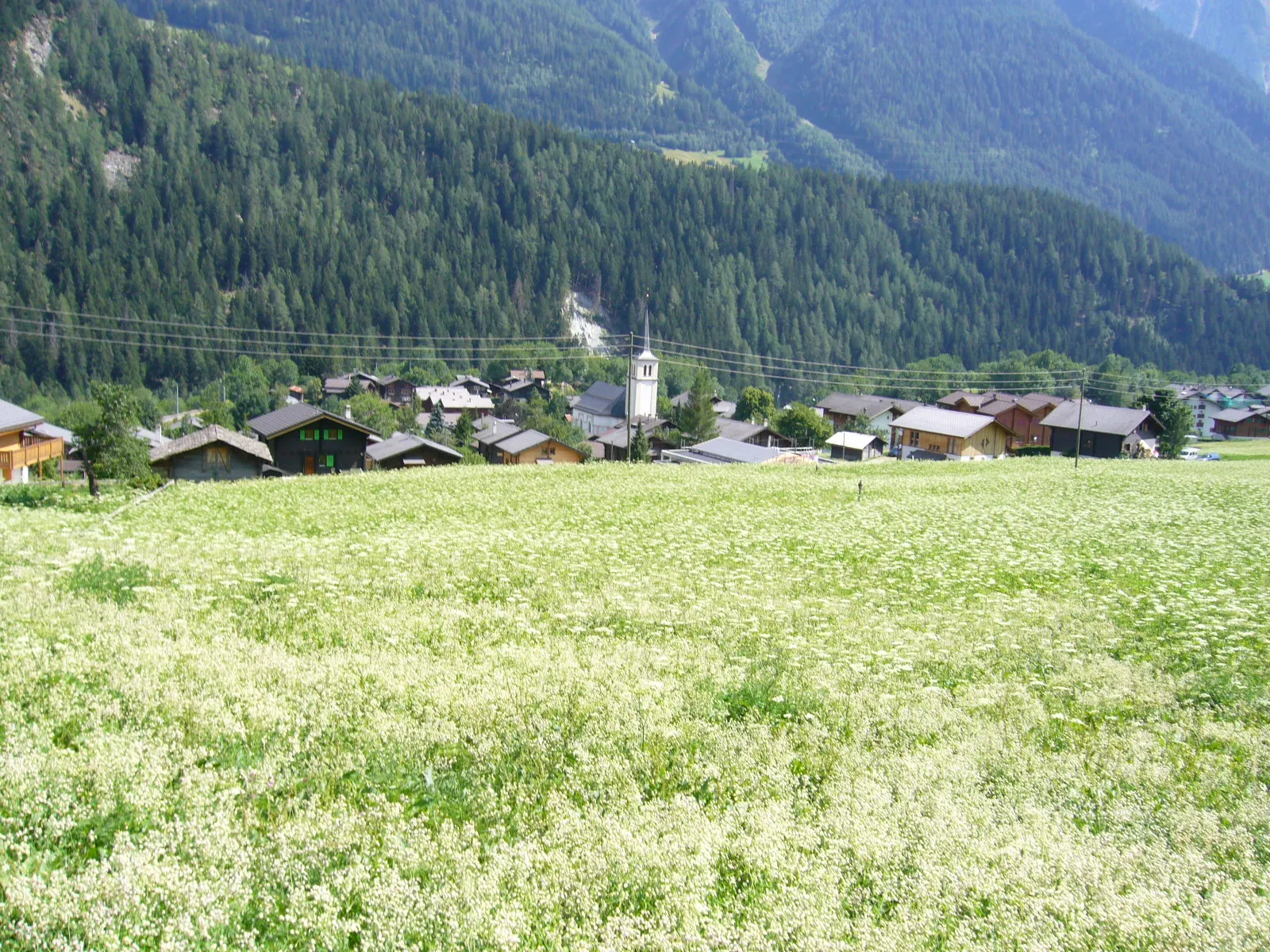 Photo showing: Lax, village in the canton of Vallais, Switzerland. Picture taken by Peter Berger, July 17, 2006.