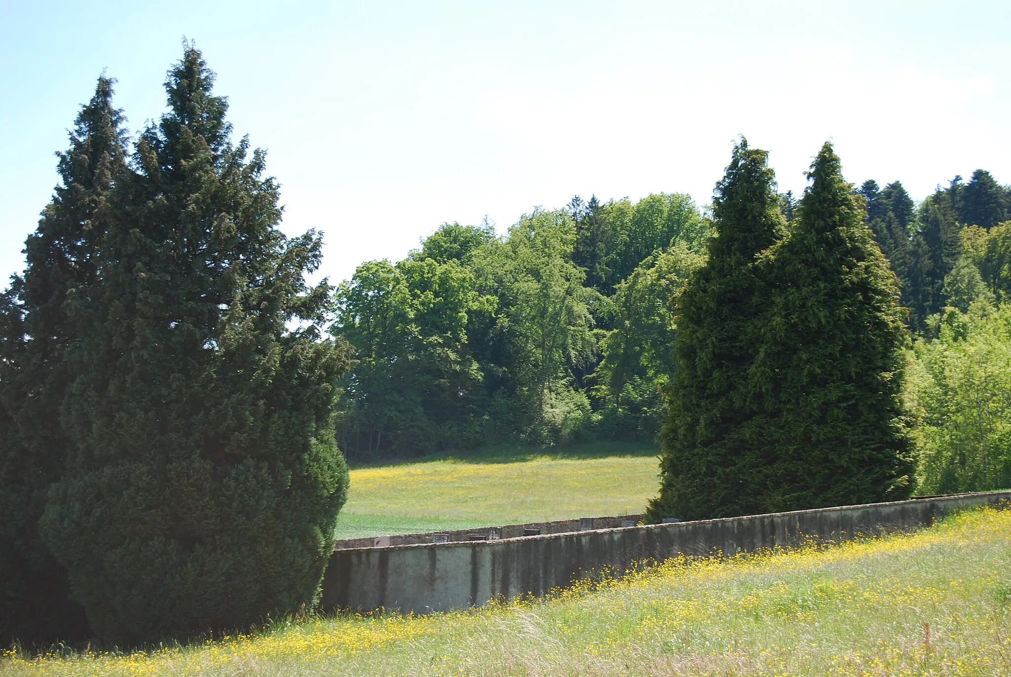 Photo showing: Cemetery of Villars-Epeney, canton of Vaud, Switzerland