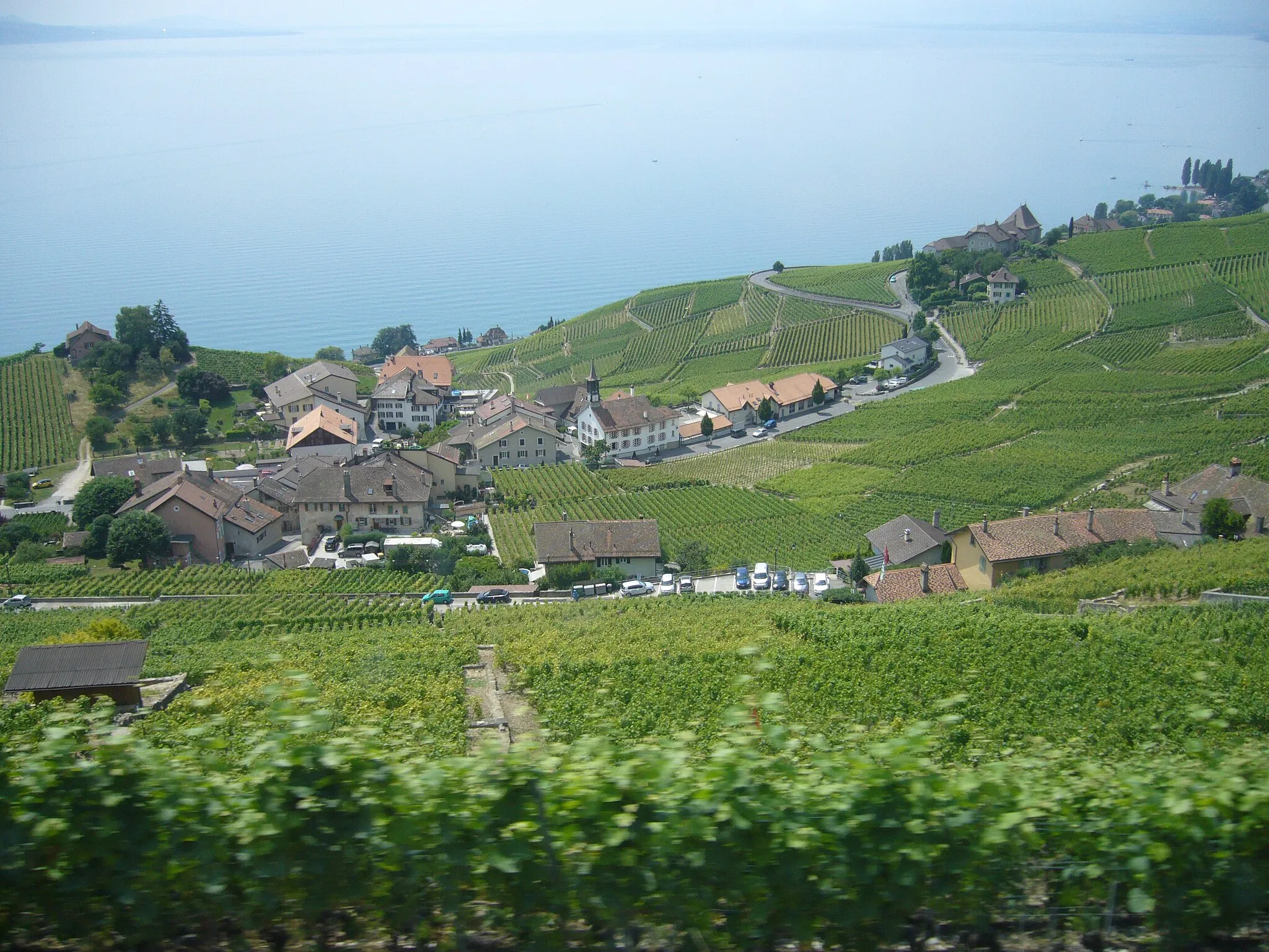 Photo showing: Blick aus dem Zuge auf Aran am Genferſee.