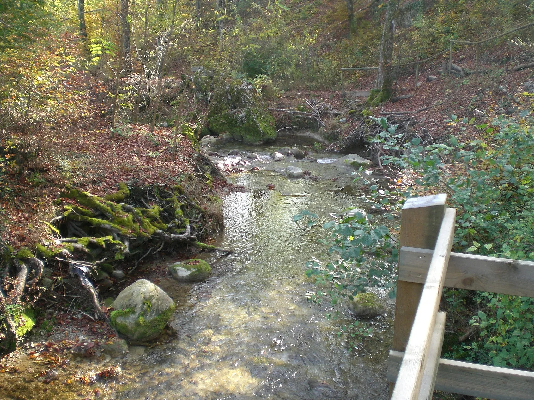 Photo showing: The Serine River near Begnins