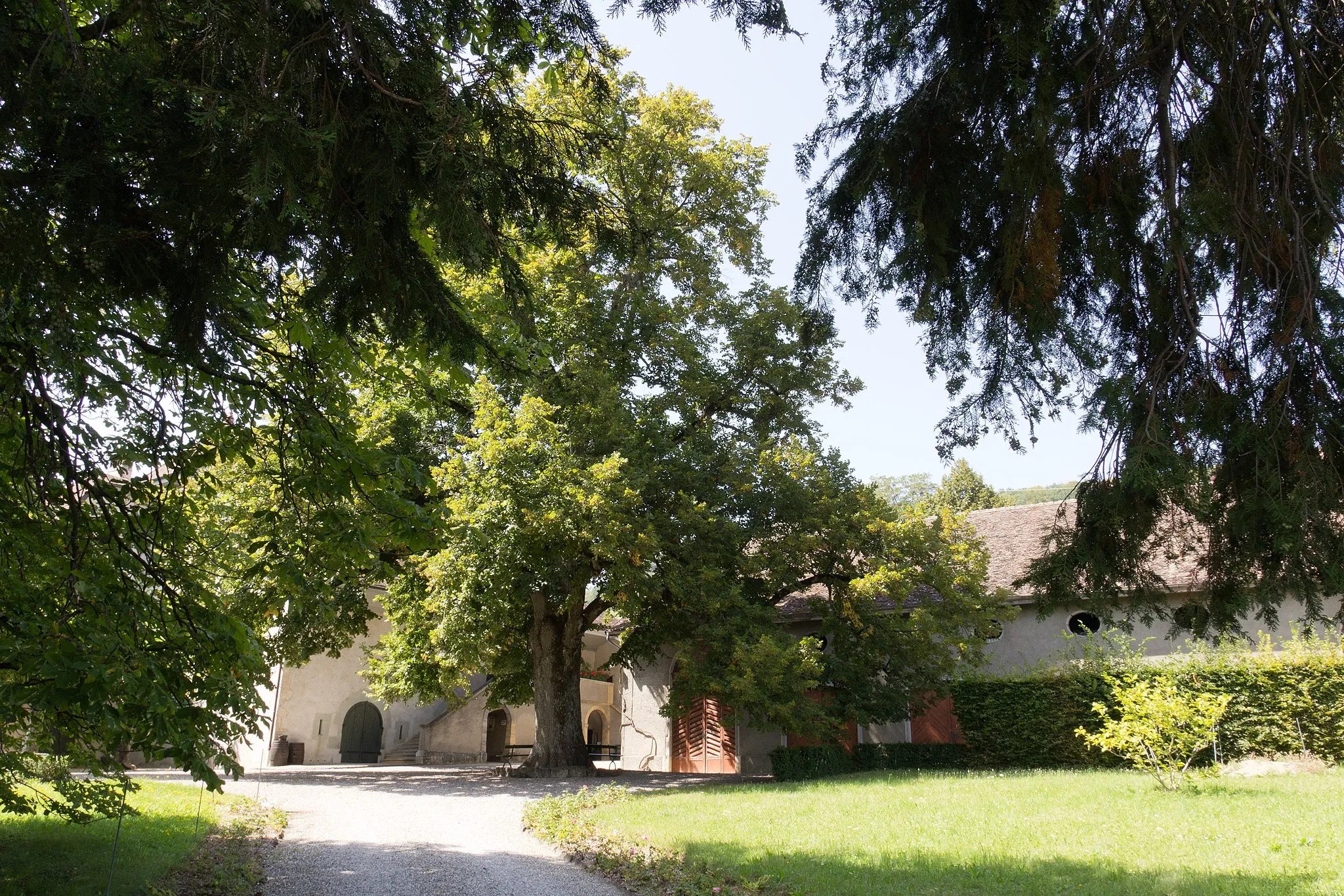 Photo showing: Une allée de gravier traverse une pelouse vers le bâtiment principal, au fond. Une dépendance se trouve sur la droite.