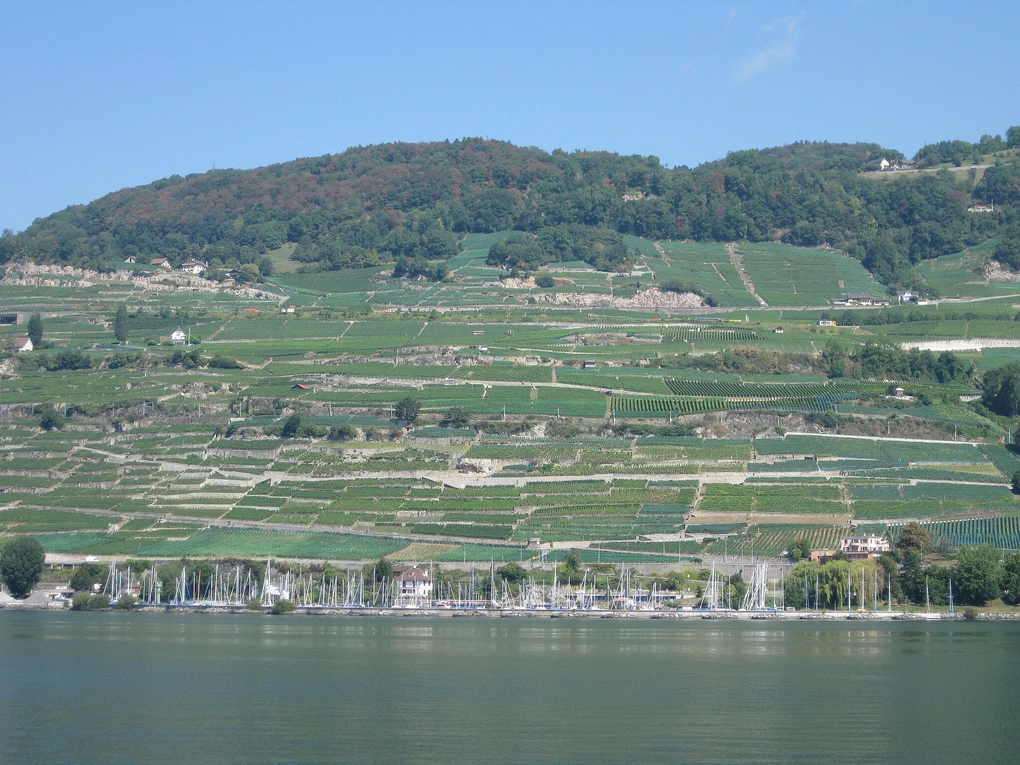 Photo showing: Around the lake of Geneva, Switzerland / France. Location see geotag.