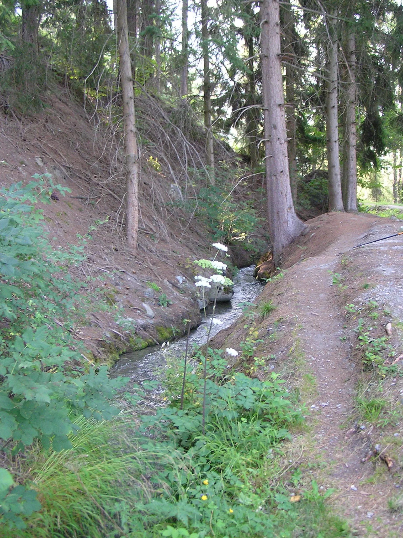 Photo showing: Le bisse de Salins, entre Salins et Veysonnaz.