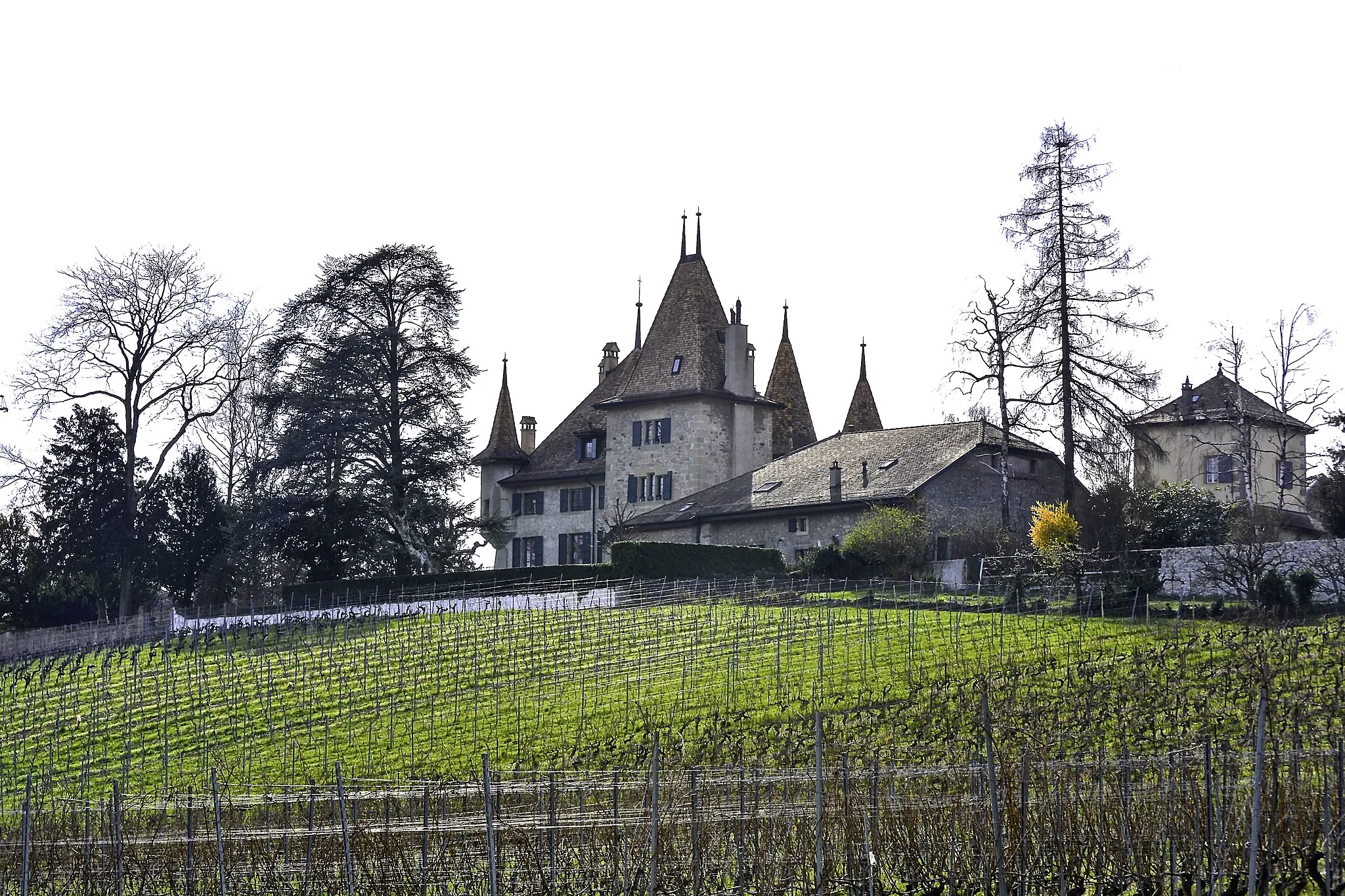 Photo showing: Échandens, Switzerland
