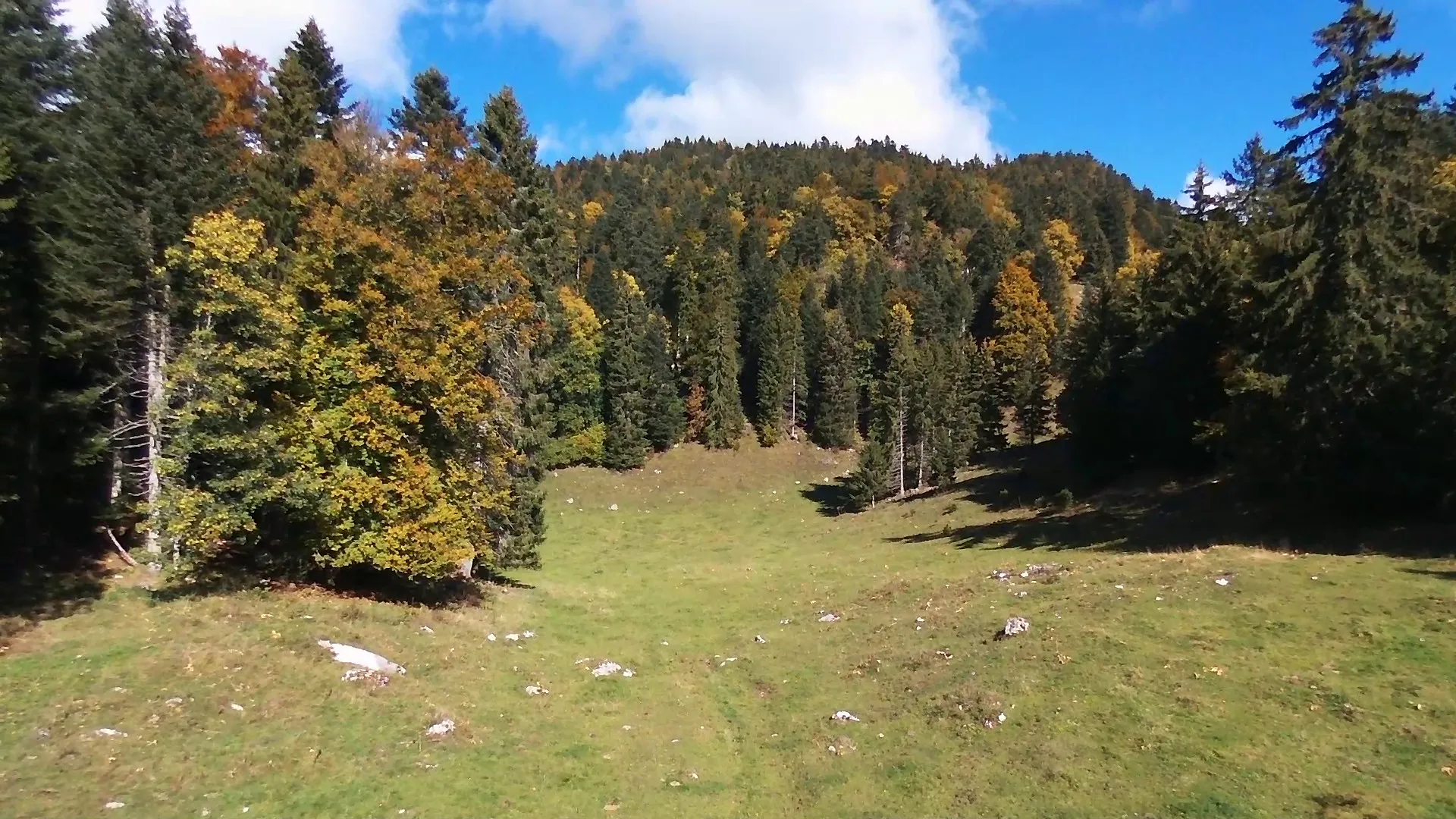 Photo showing: Doline sur le terrain de Bassins. Still image captured from video.