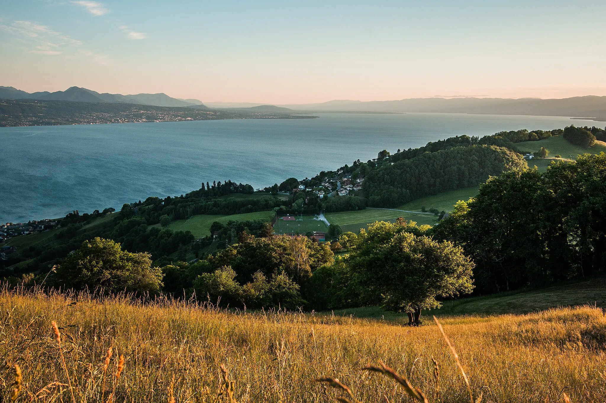 Photo showing: View on Lake Geneva from the Tour de Gourze