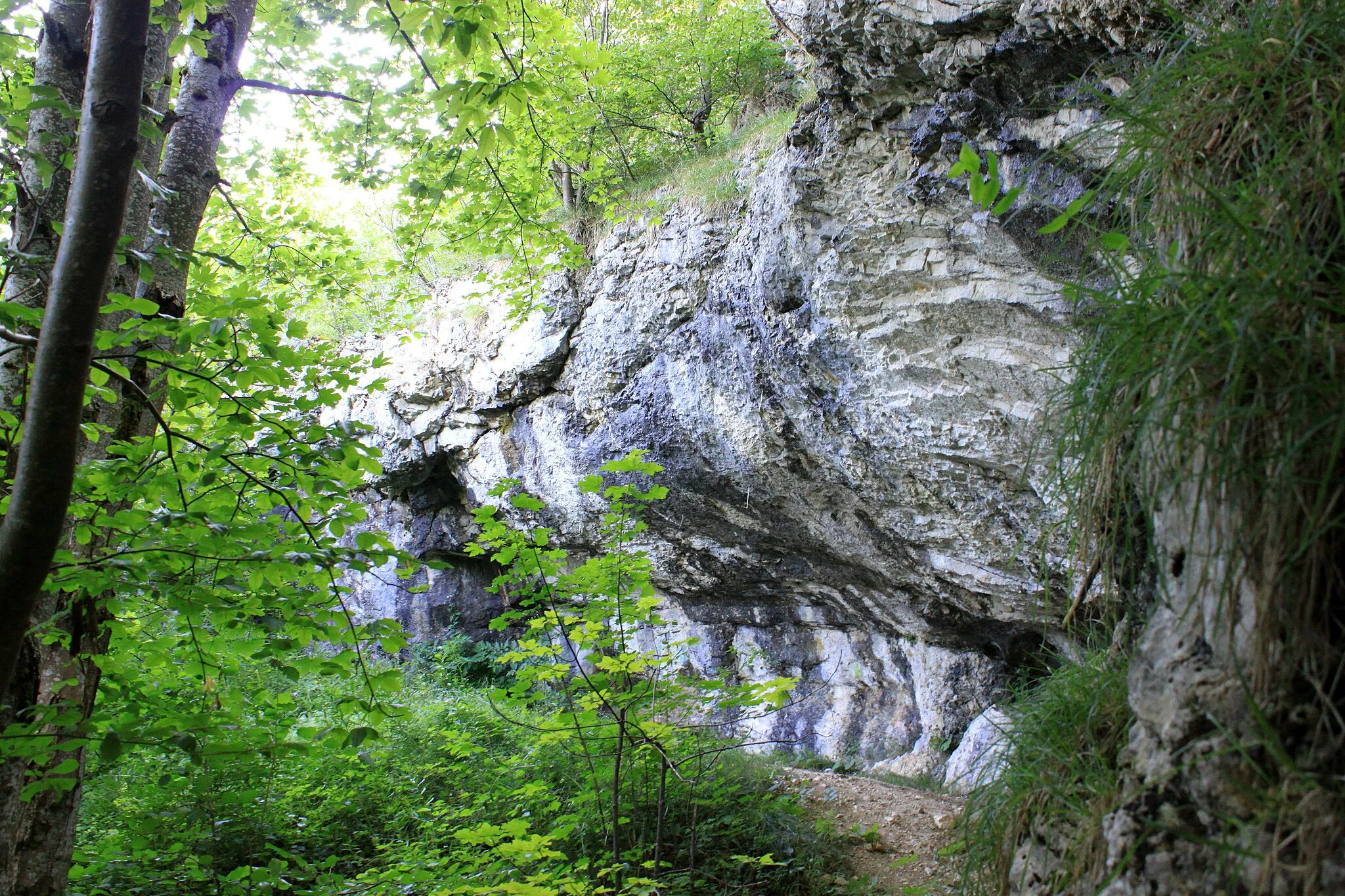 Photo showing: Mont-la-Ville, Abri sous roche du Mollendruz, vue d'ensemble