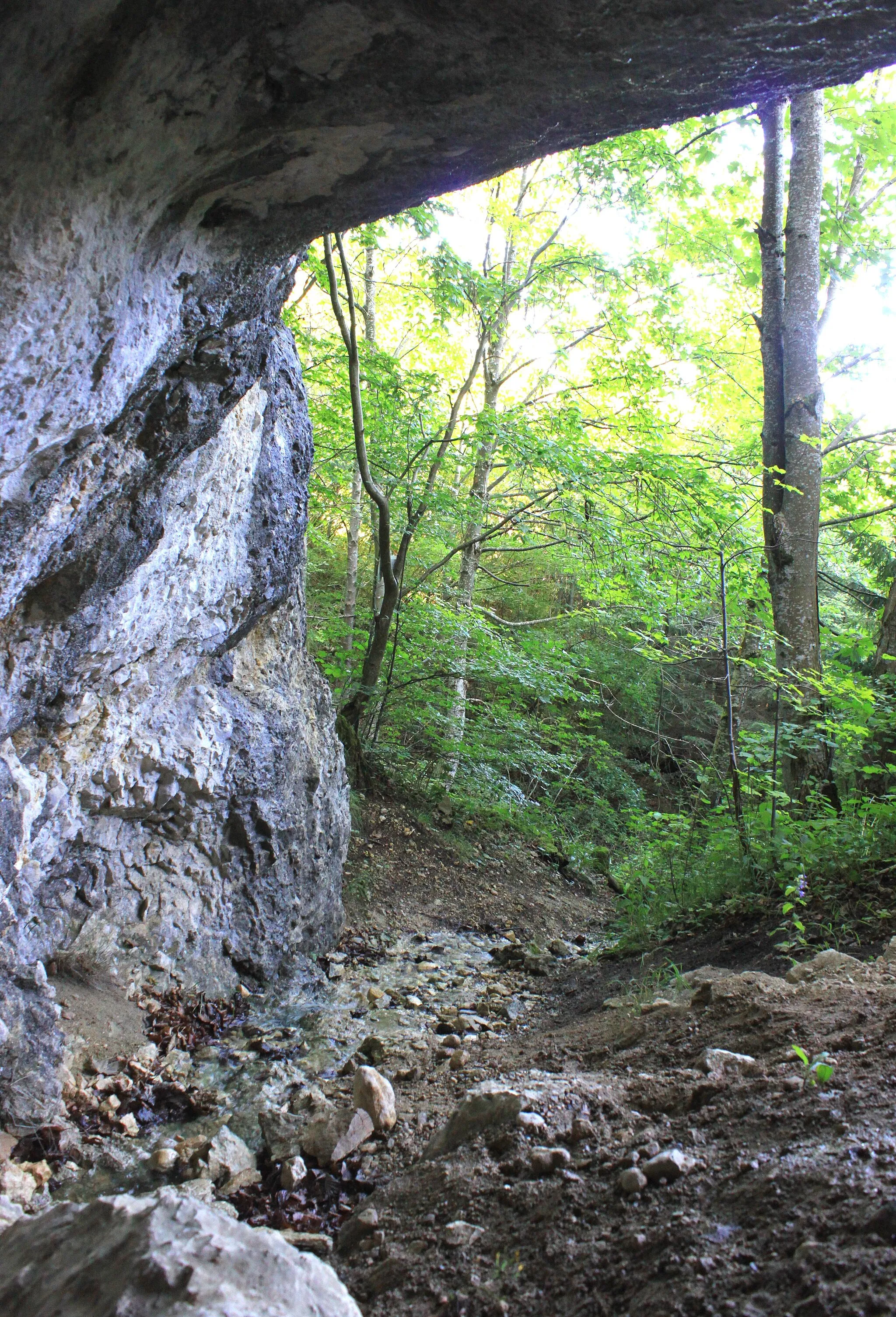 Photo showing: Suisse, canton de Vaud, Mont-la-Ville, abri sous roche du Mollendruz, vue de l'intérieur sur le ruisseau.