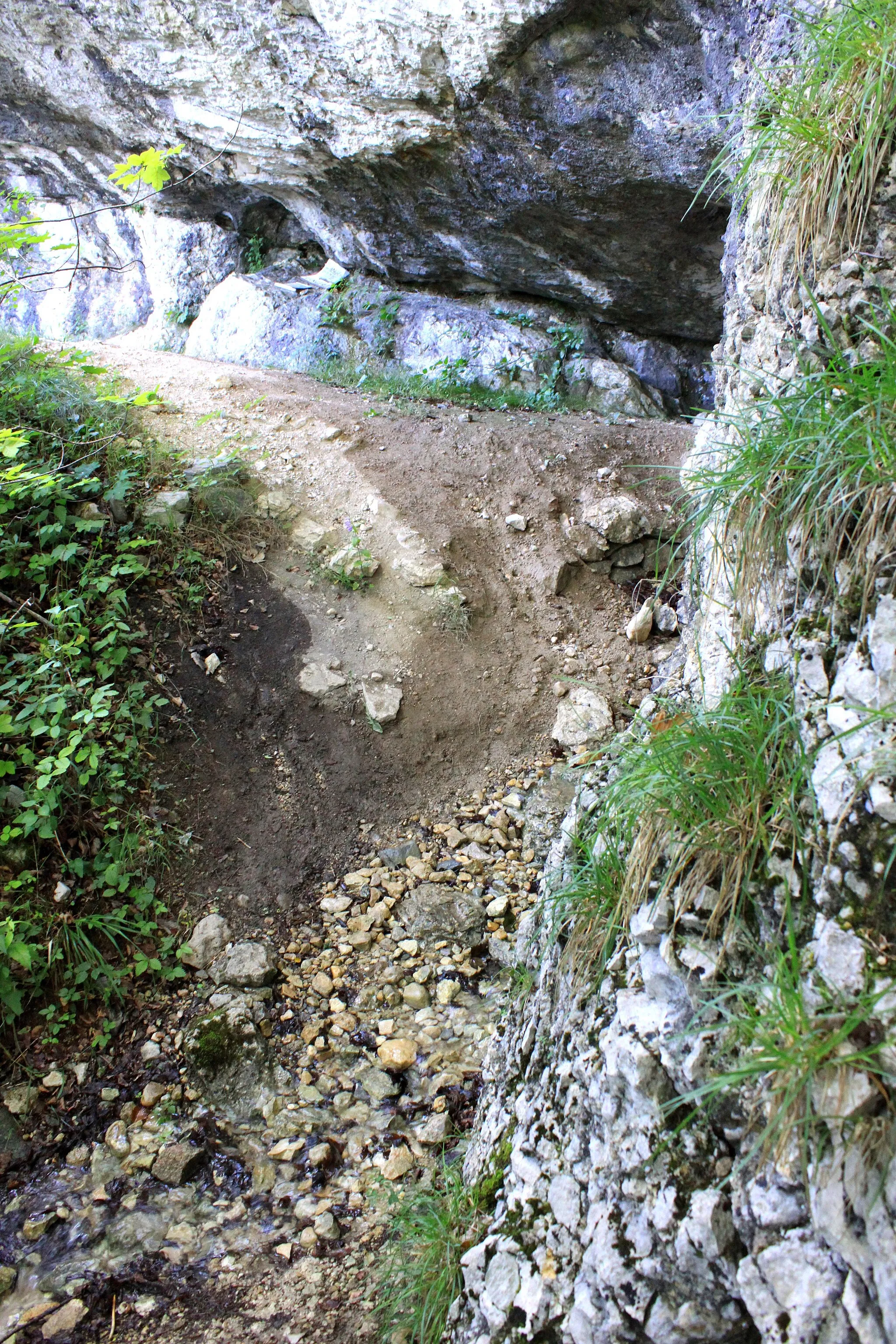 Photo showing: Suisse, canton de Vaud, Mont-la-Ville, Abri sous roche du Mollendruz, chemin d'accès à l'abri.